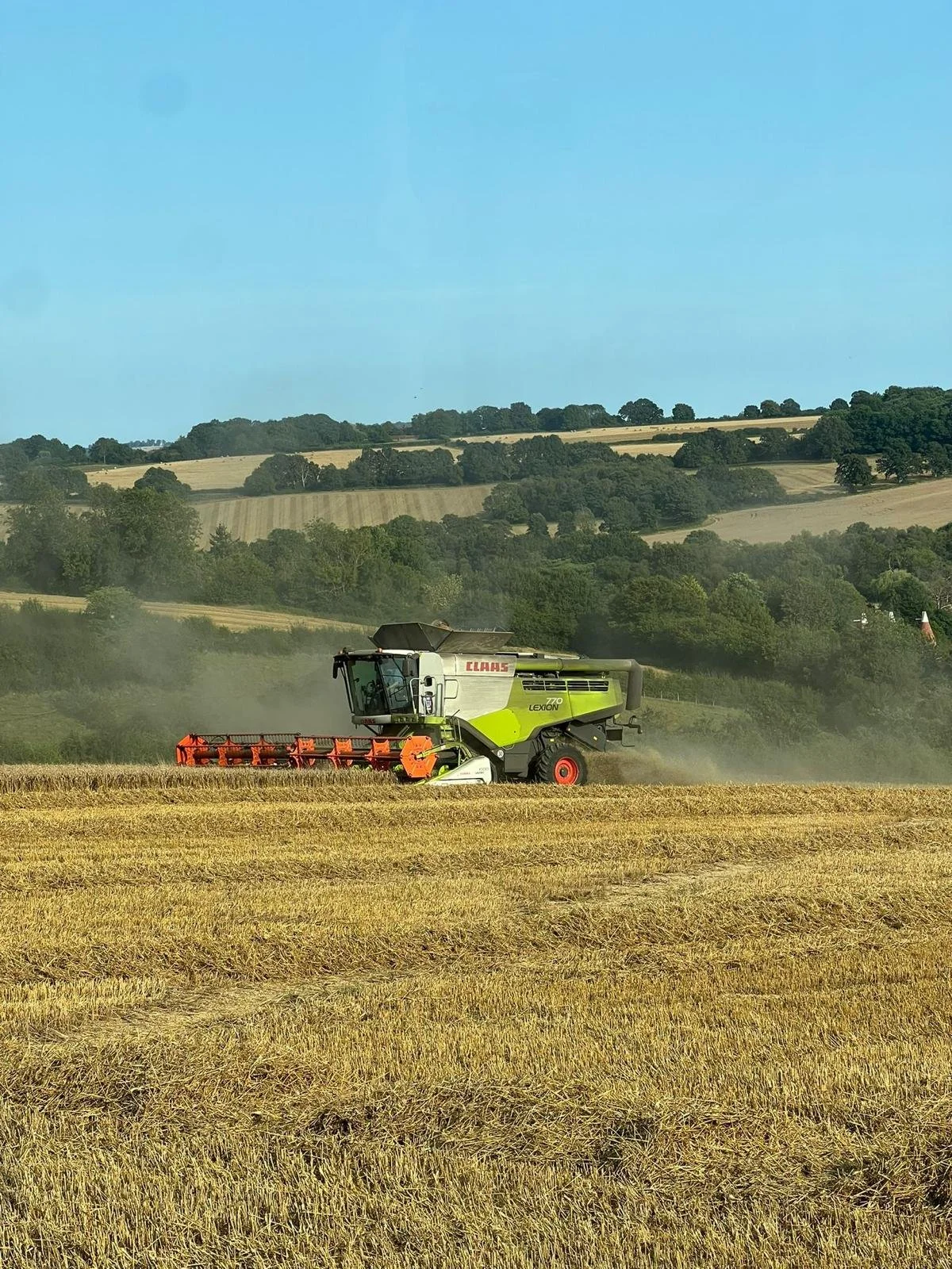 A large CLAAS Lexion combine harvester is working in a field of wheat or barley, with rolling hills and trees in the background under a clear blue sky.
