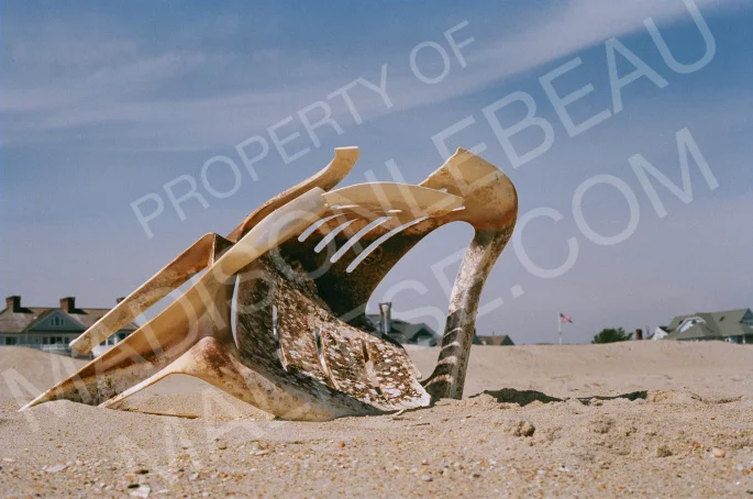 Beach Chair