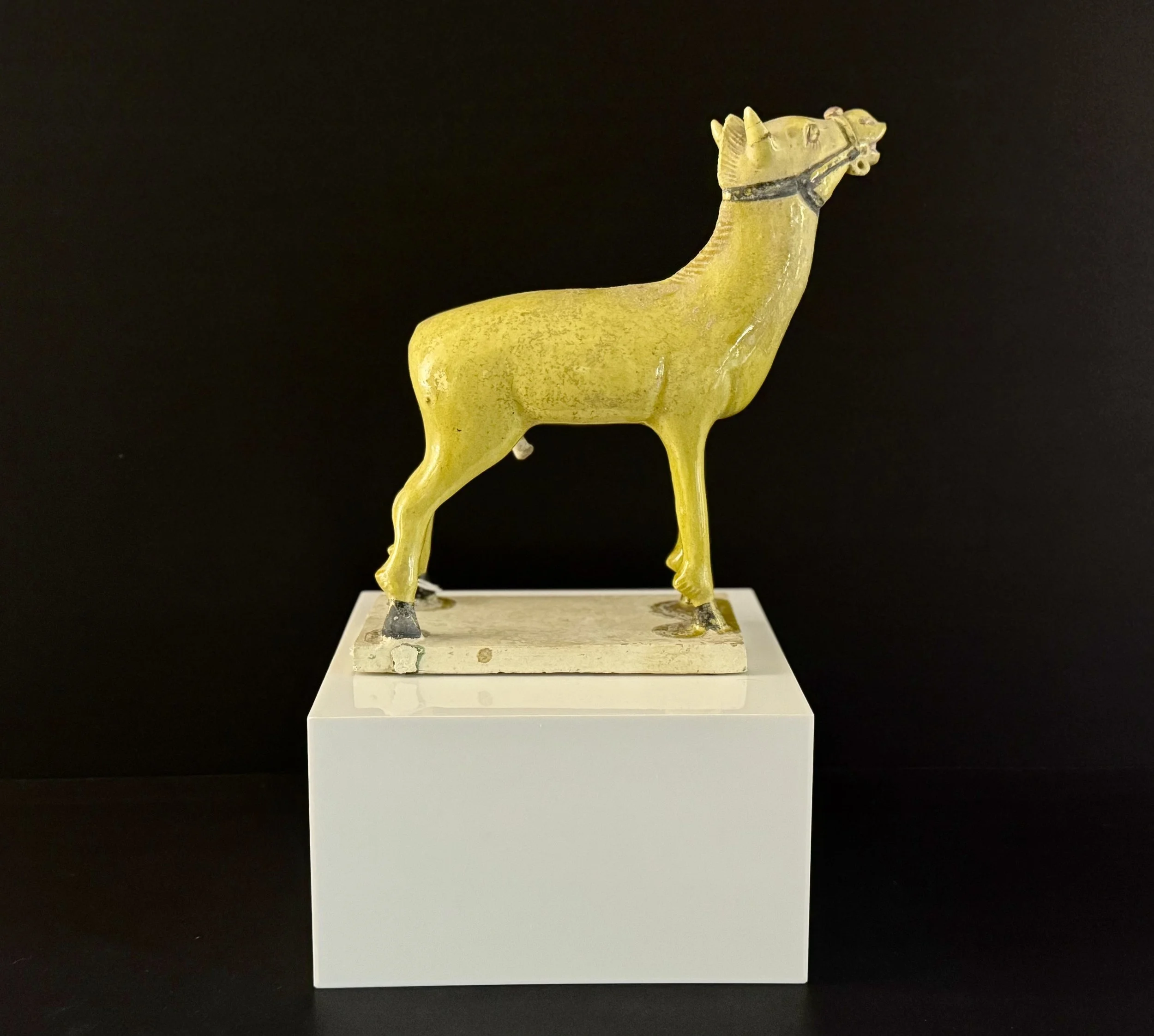 A Yellow-Glazed figure of a pony. Ming Dynasty (1368-1644). Collection of Dorothy Tapper Goldman. TL tested.