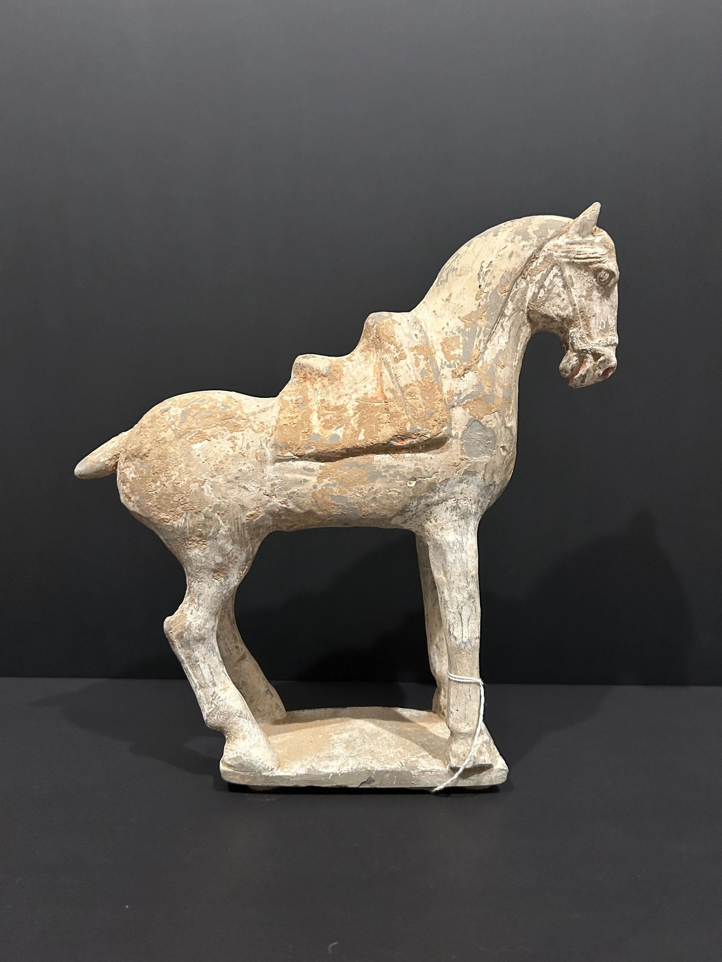 Terracotta Horse. Tang Dynasty (518-906 A.D.) Earthenware. H 11 ¾ in. x 4 ¼ in. D.  TL tested.
