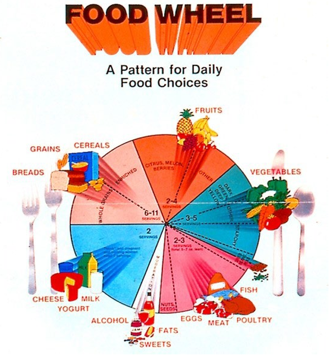 1984: Food Wheel: A Pattern for Daily Food Choices
