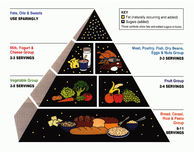 1992: Food Guide Pyramid