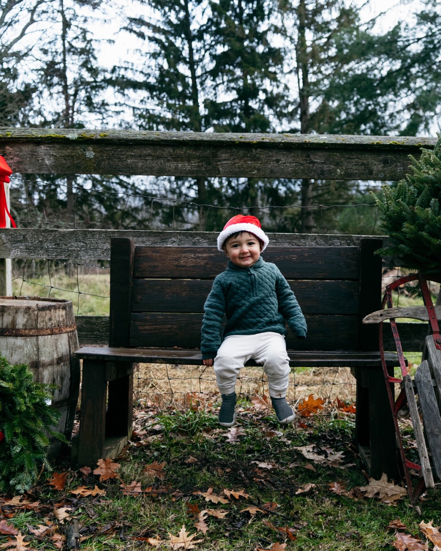 ✨ Week 2 of my Small Business Giveaway! ✨
I fell in love with Page&rsquo;s Christmas Tree Farm the first time I visited last month &mdash; it&rsquo;s truly magical. 🎄✨
I&rsquo;m so excited to announce that I&rsquo;ll be hosting Tree Farm Minis next 