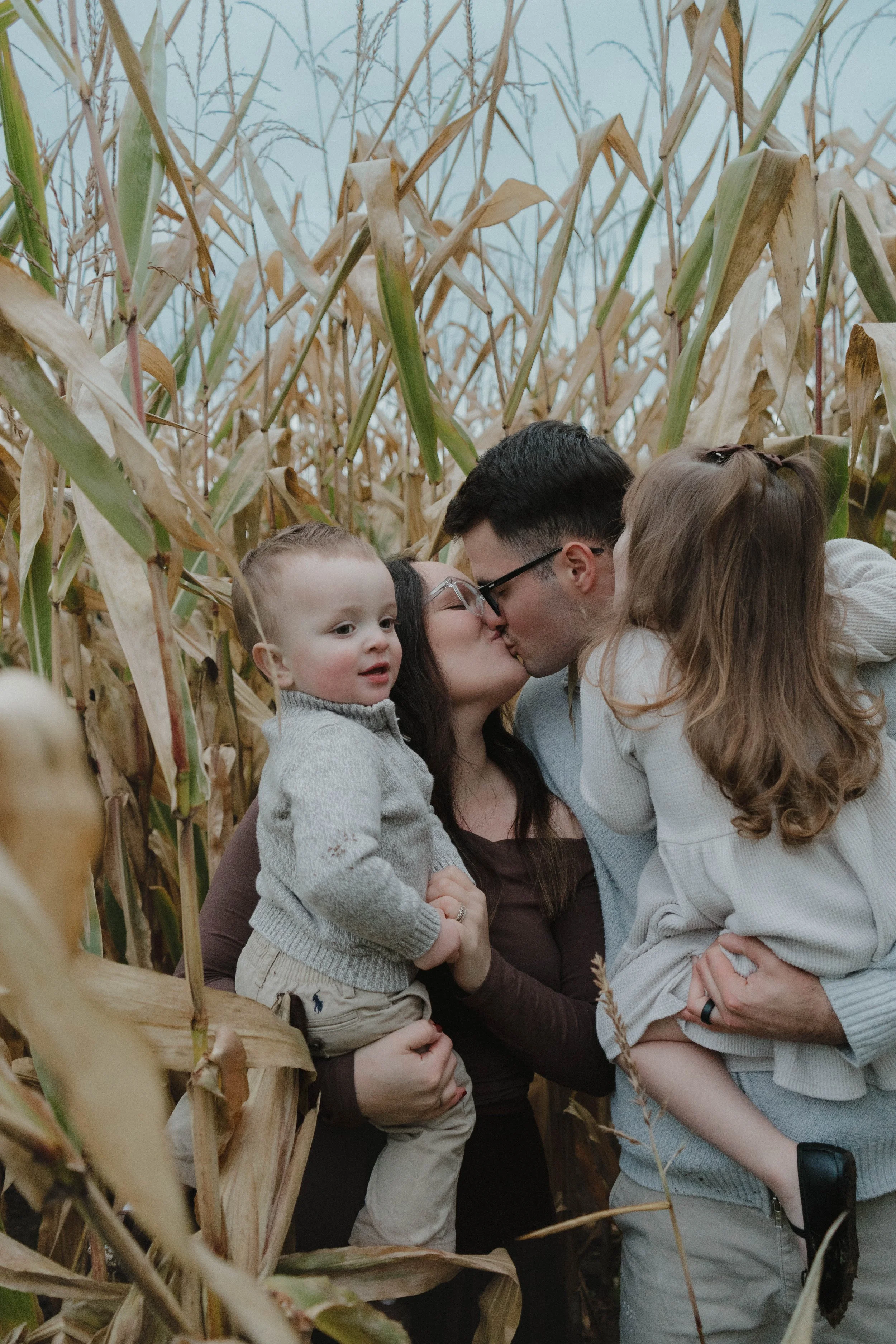 Baldwinsville, NY Photographer Family of four kissing and cuddling inside a cornfield, with yellowing dried corn plants around them.