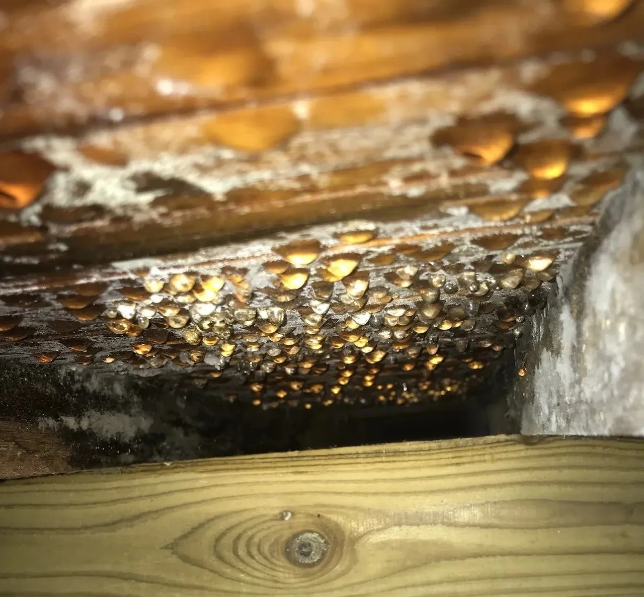Crawl Space Condensation on the East End: Why Tile and Vinyl Floors Over Fiberglass Insulation Lead to Subfloor Mold