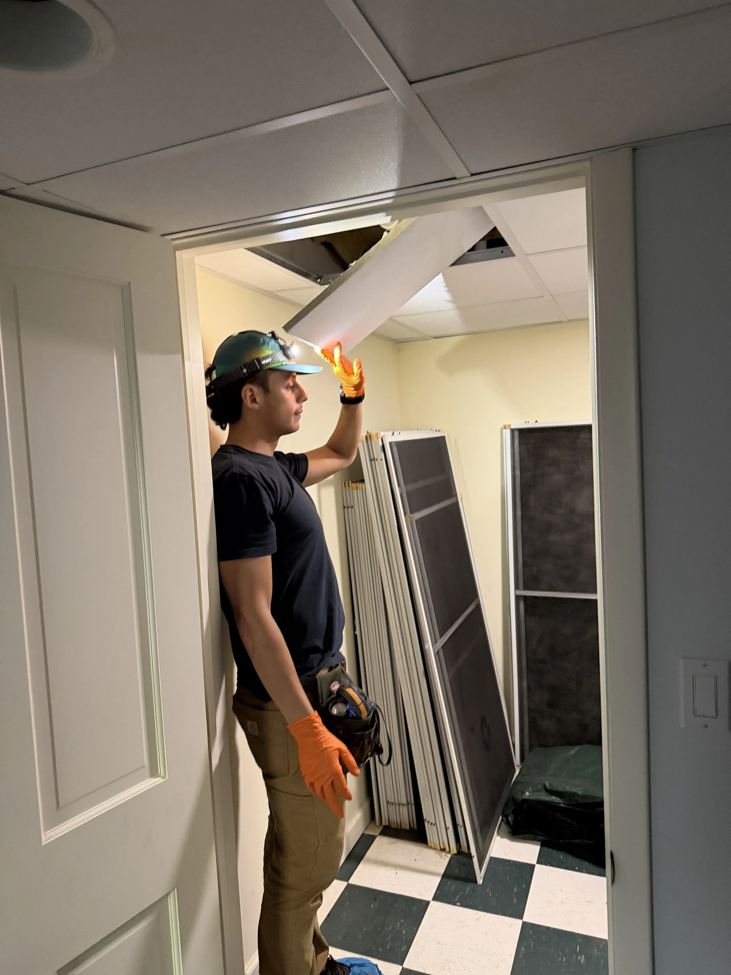 Why Bleach Does Not Fix Mold on Drywall or Framing