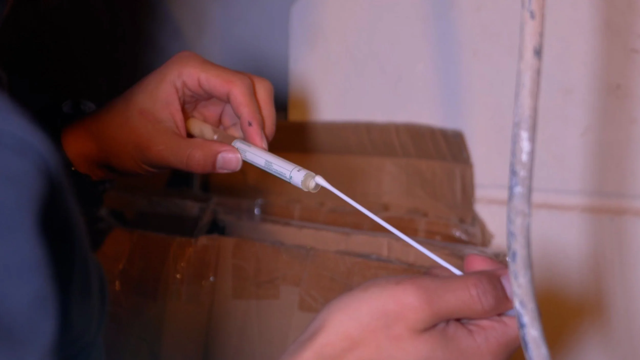 Surface swab sample being collected from a suspect area during mold inspection