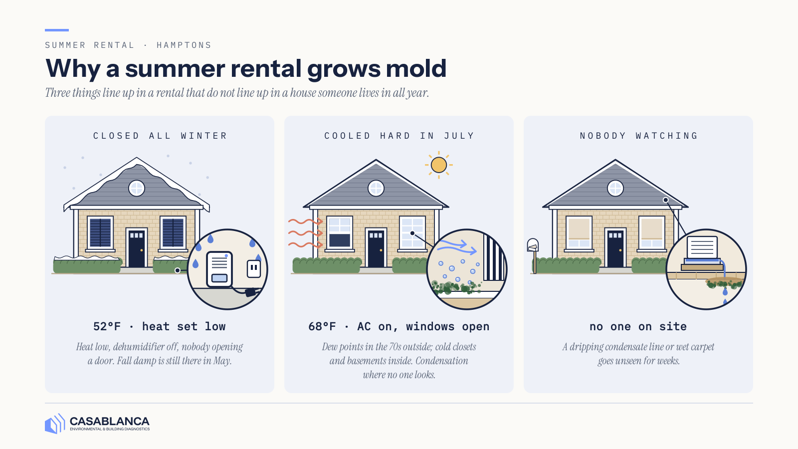 Why A Summer Rental Grows Mold