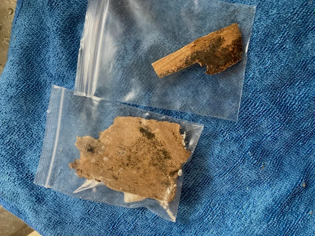 Bulk material sample sealed in a bag for laboratory mold analysis