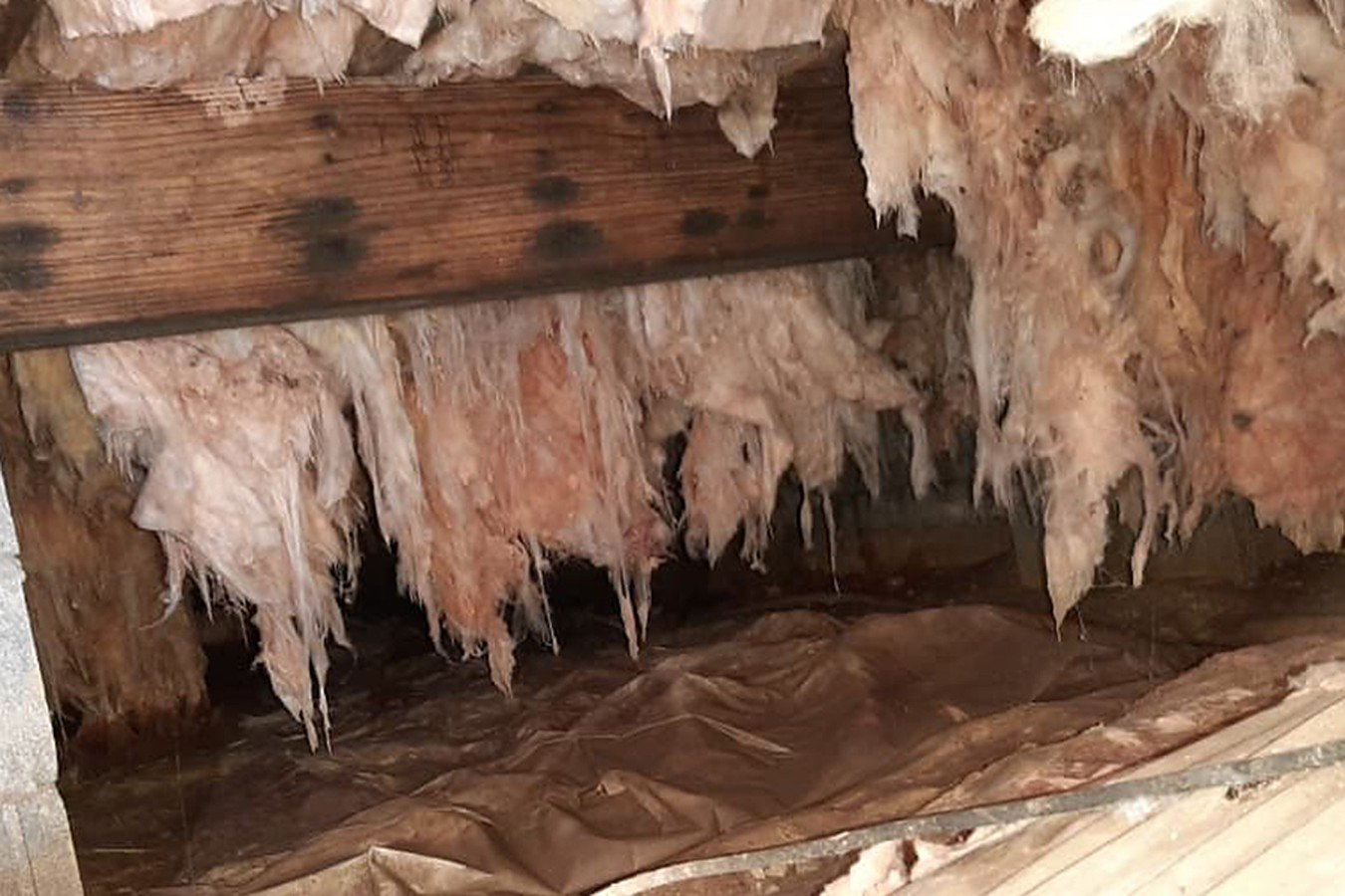 Saturated fiberglass batts sagging from the floor joists in a vented crawl space, with a stained wood girder, block foundation wall, and plastic vapor barrier on the ground.