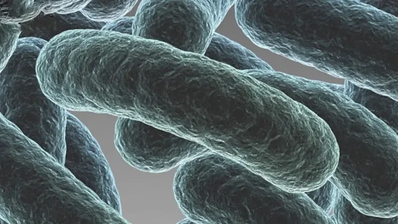 Close-up of bacteria or rod-shaped microorganisms.