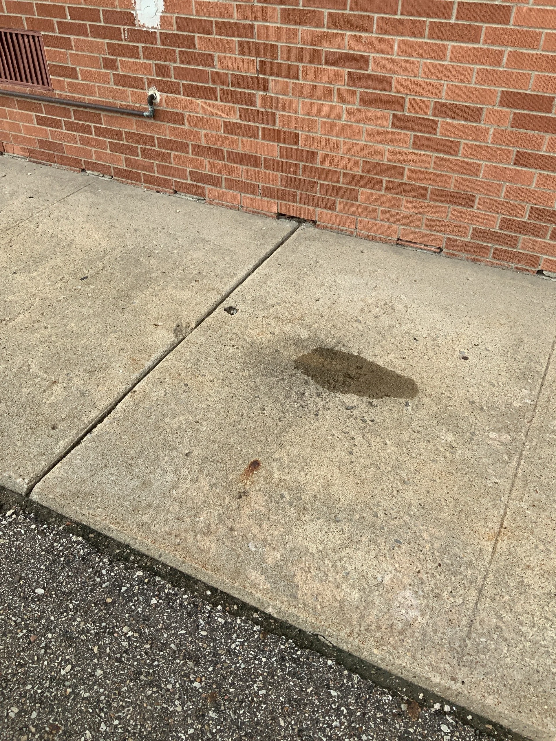 ELEMENTARY SCHOOL - Exterior Wall Stabilization (evidence of weathered mortar and loose bricks)