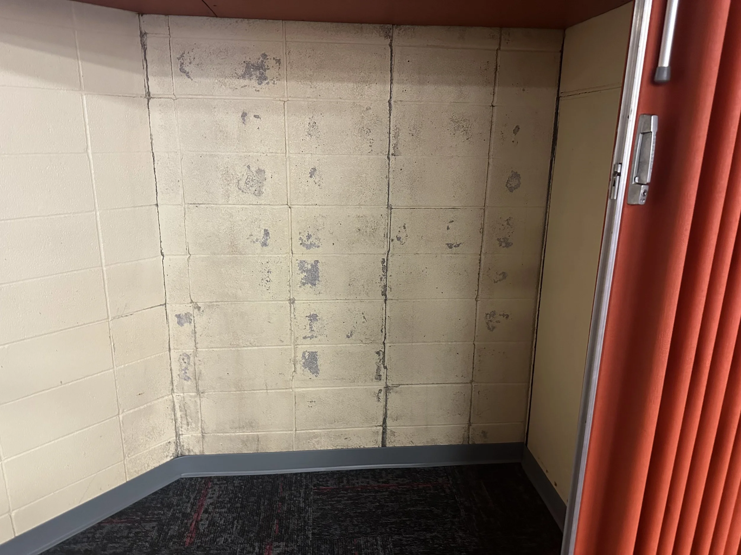 ELEMENTARY SCHOOL - Exterior Wall Stabilization (evidence of moisture intrusion)