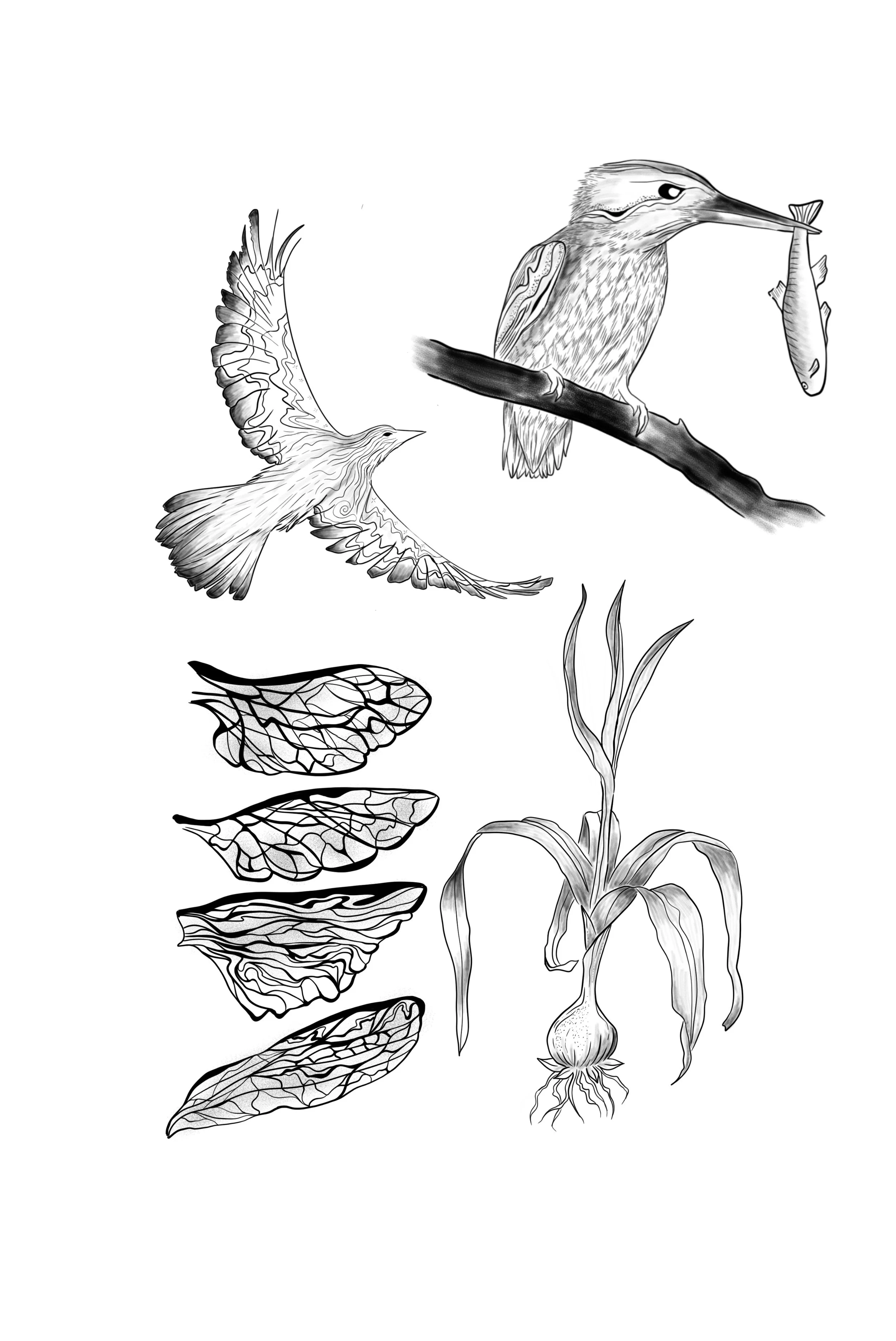 Untitled_Artwork 28.JPG