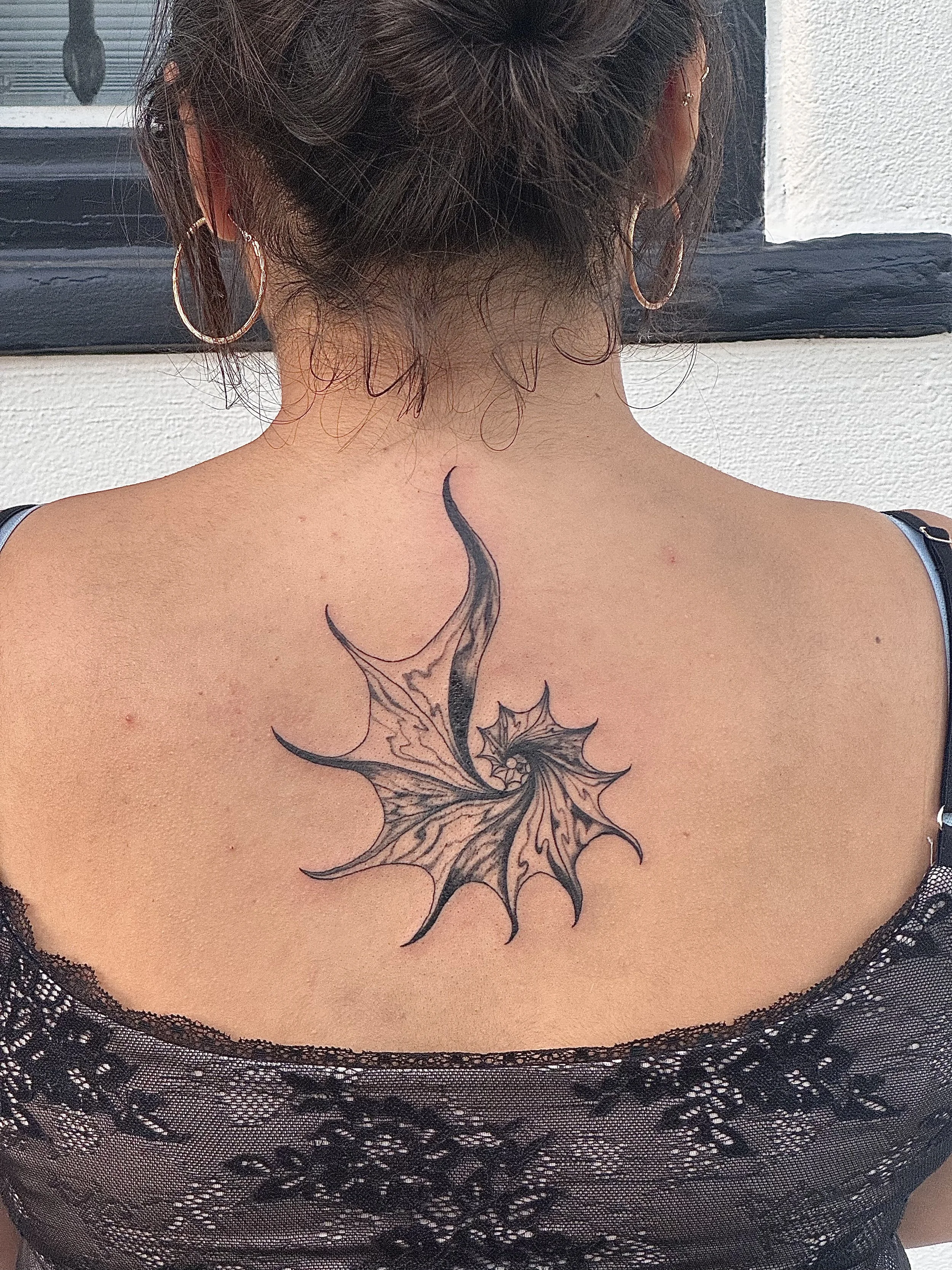 Creatures and Insects