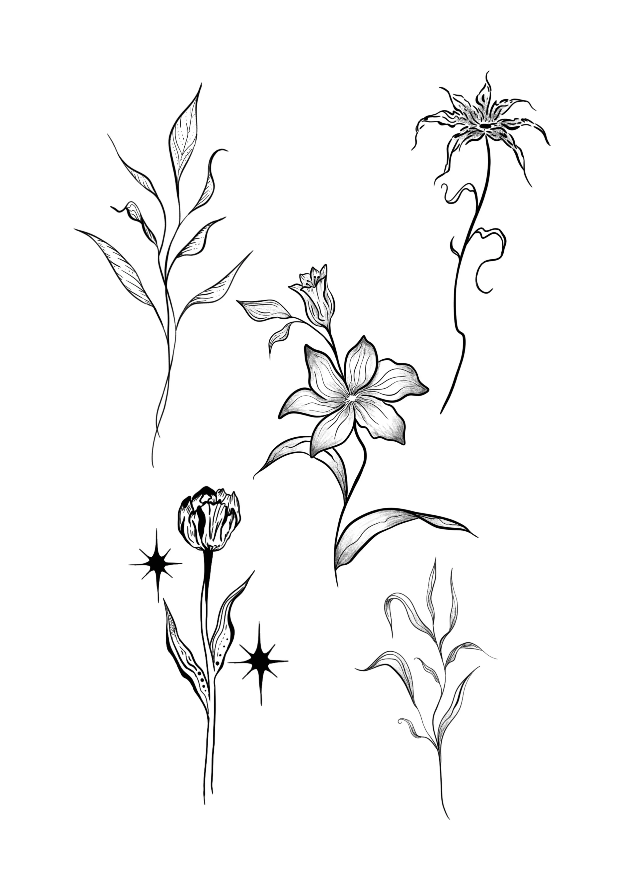 Untitled_Artwork 24.JPG