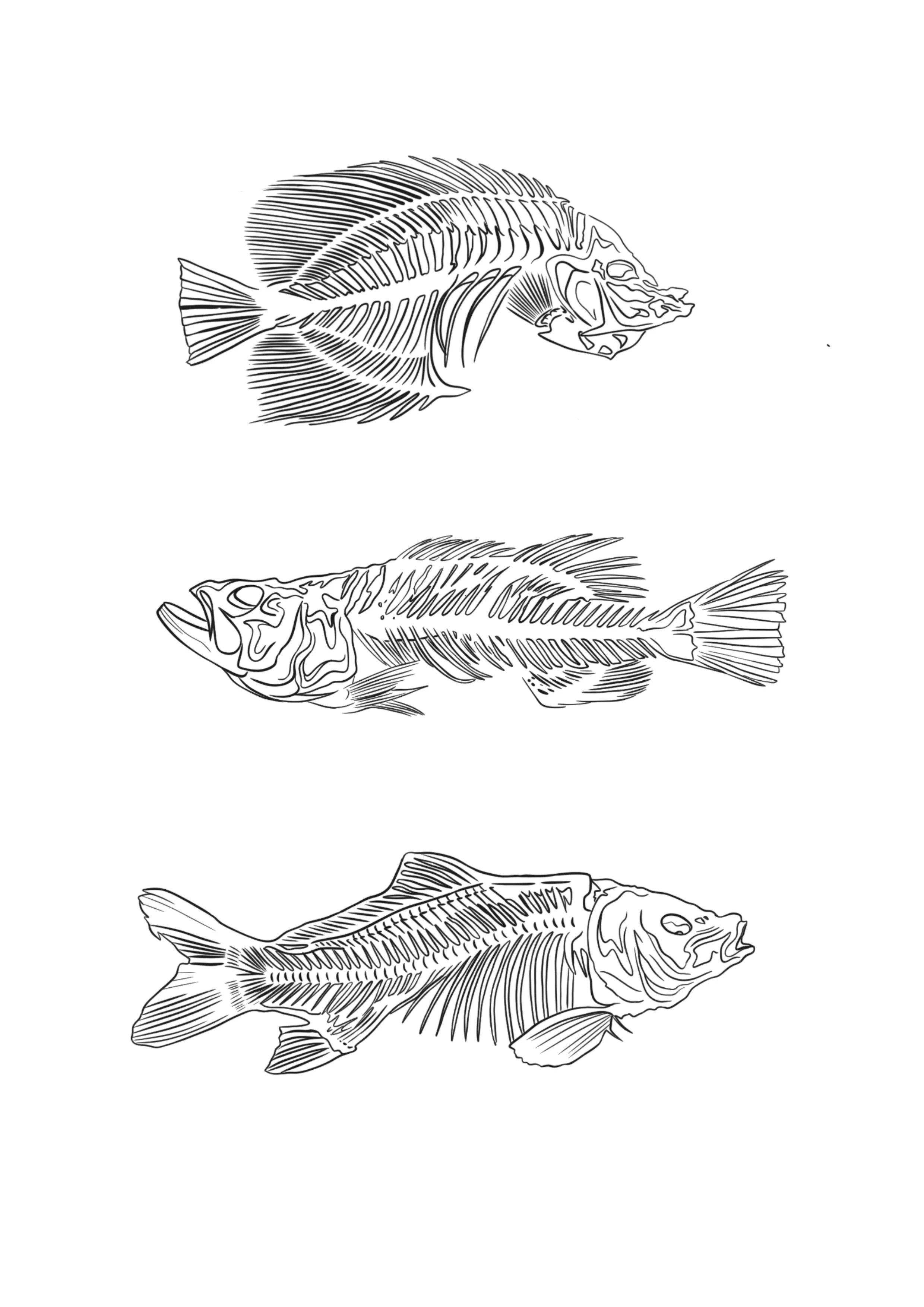 Untitled_Artwork 37.JPG