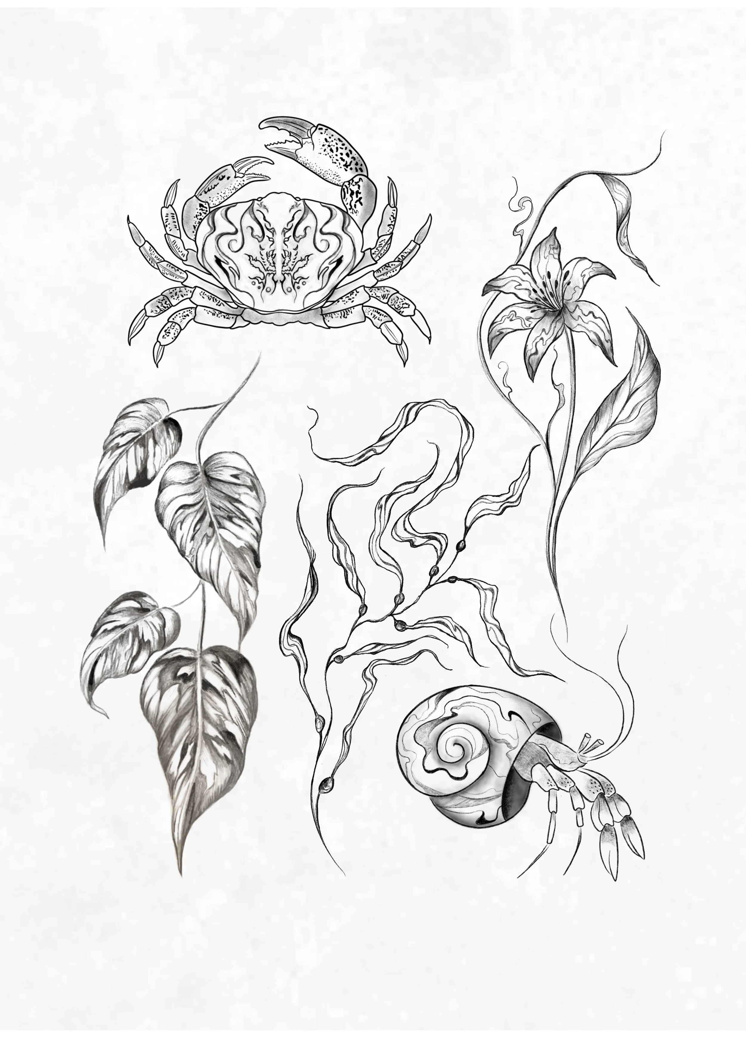 Untitled_Artwork 10.JPG