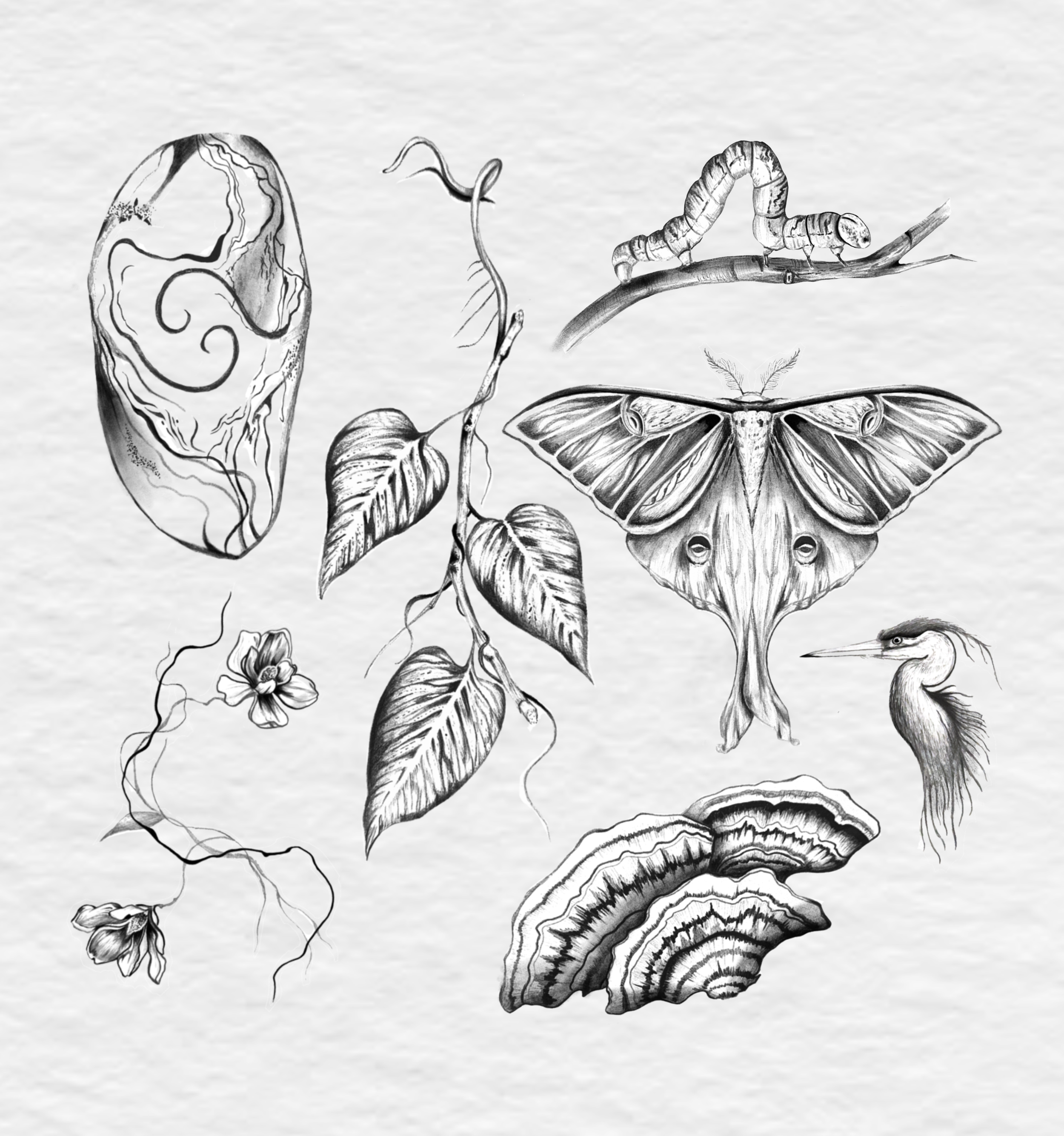 Untitled_Artwork 10.PNG