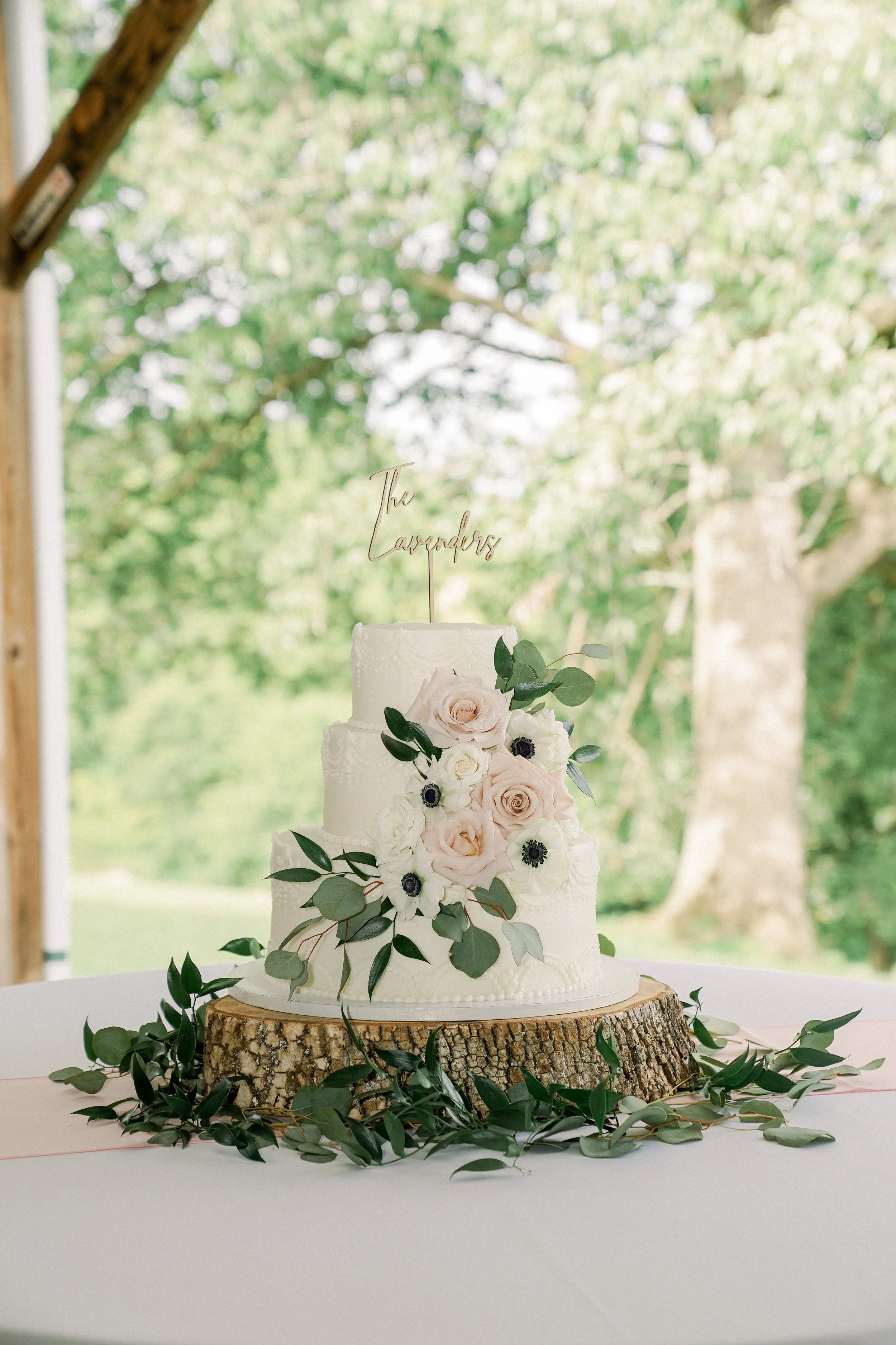 20240608_DSC0362 (1).jpg