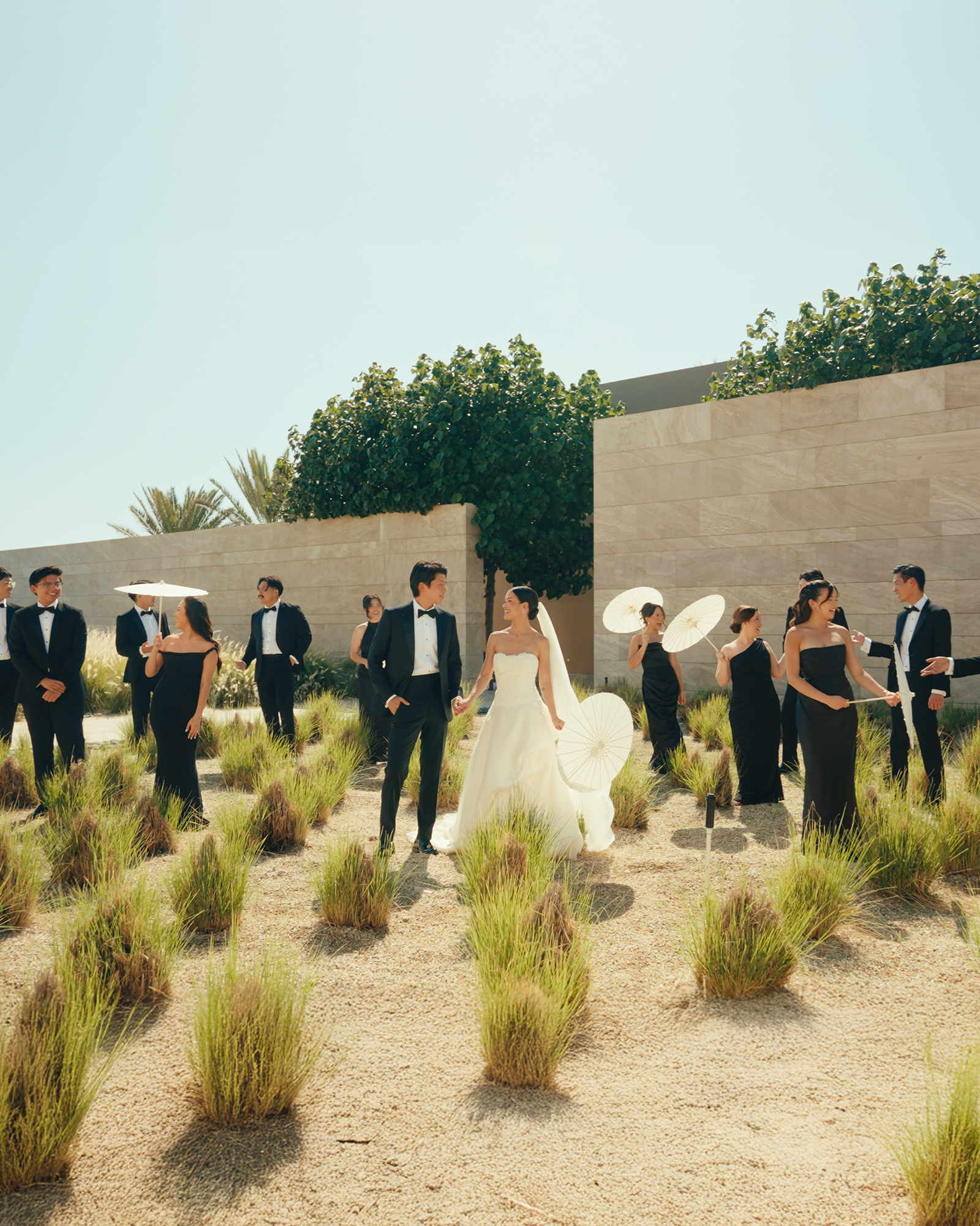 Wedding party outdoors with the bride and groom holding hands, surrounded by bridesmaids and groomsmen in black dresses and tuxedos, some holding parasols, on a beige sandy terrain with green bushes and trees in the background.