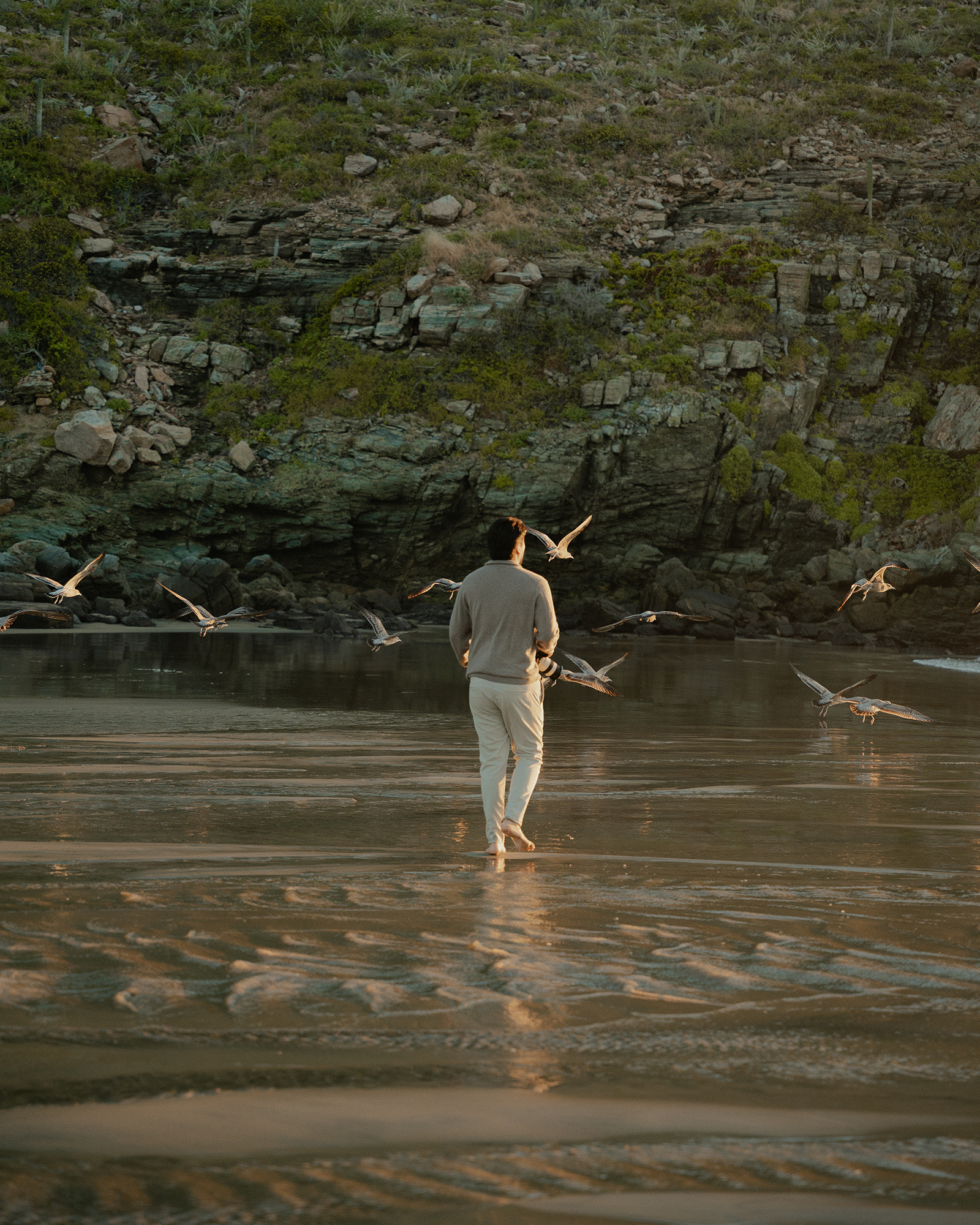A person walking barefoot on a sandy beach at sunset, surrounded by seagulls flying around, with rocky hills in the background.