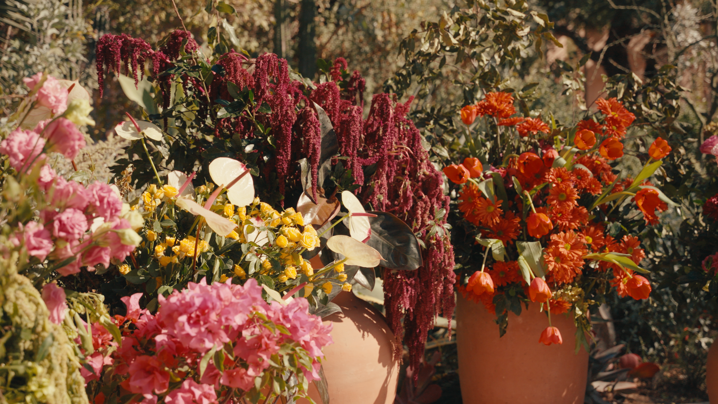 Various colorful potted flowers including pink, yellow, red, and purple blooms in a garden outdoor setting.