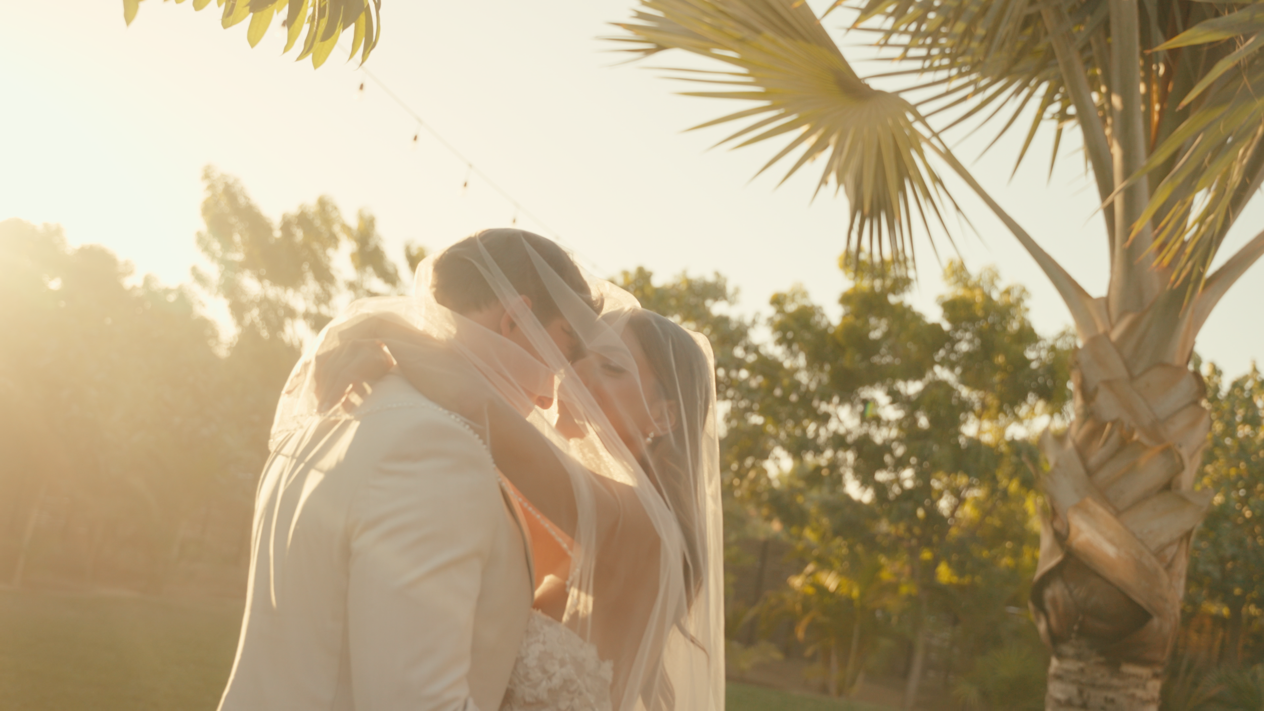 A bride and groom sharing an intimate moment outdoors, with the bride’s veil covering their faces, during sunset near a palm tree.