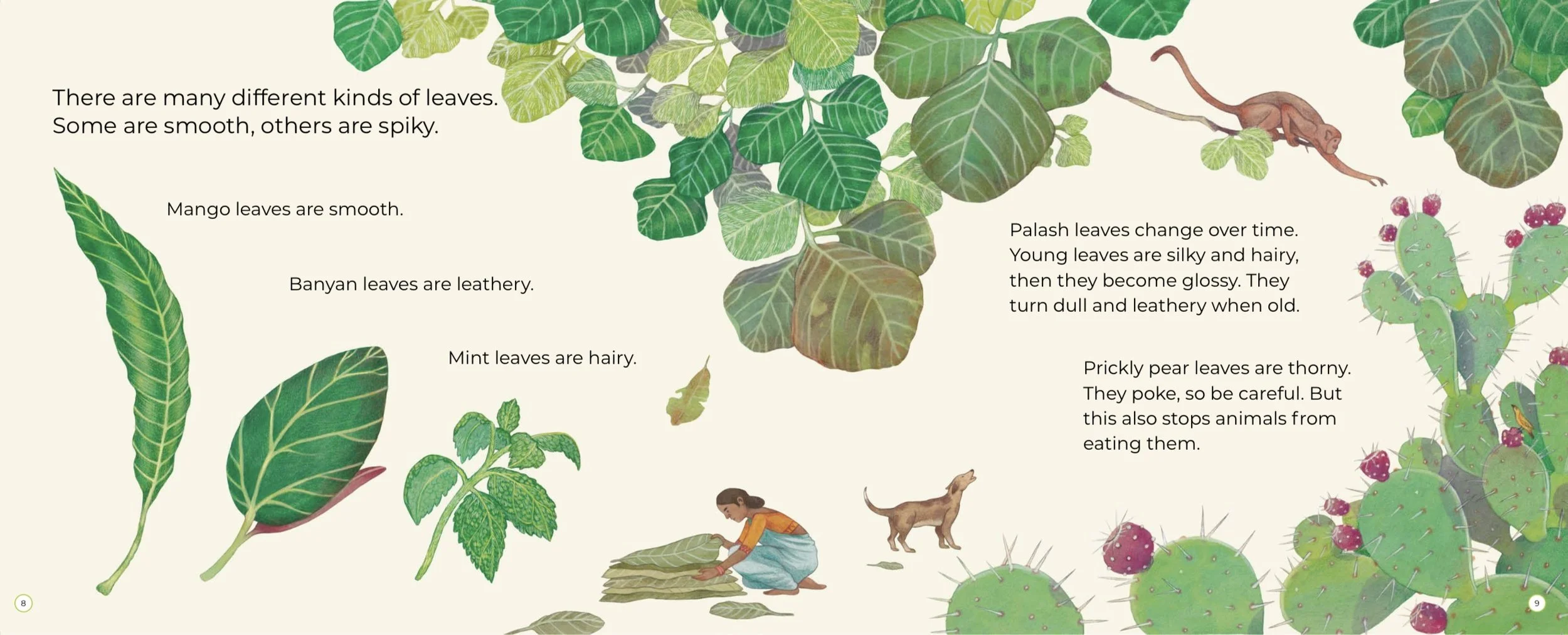 Illustration shows various types of leaves labeled with descriptions, including mango leaves that are smooth, Banyan leaves that are leathery, mint leaves that are hairy, palash leaves that change texture over time, and prickly pear leaves that are thorny. The illustration also depicts a girl folding leaves, a cat, and a bird among the greenery.