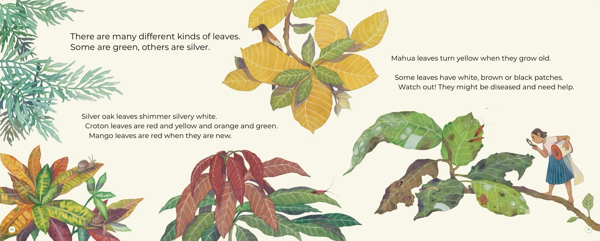 Illustration of various tree leaves with accompanying text describing their colors, types, and characteristics. A girl is observing leaves with a magnifying glass on a branch.