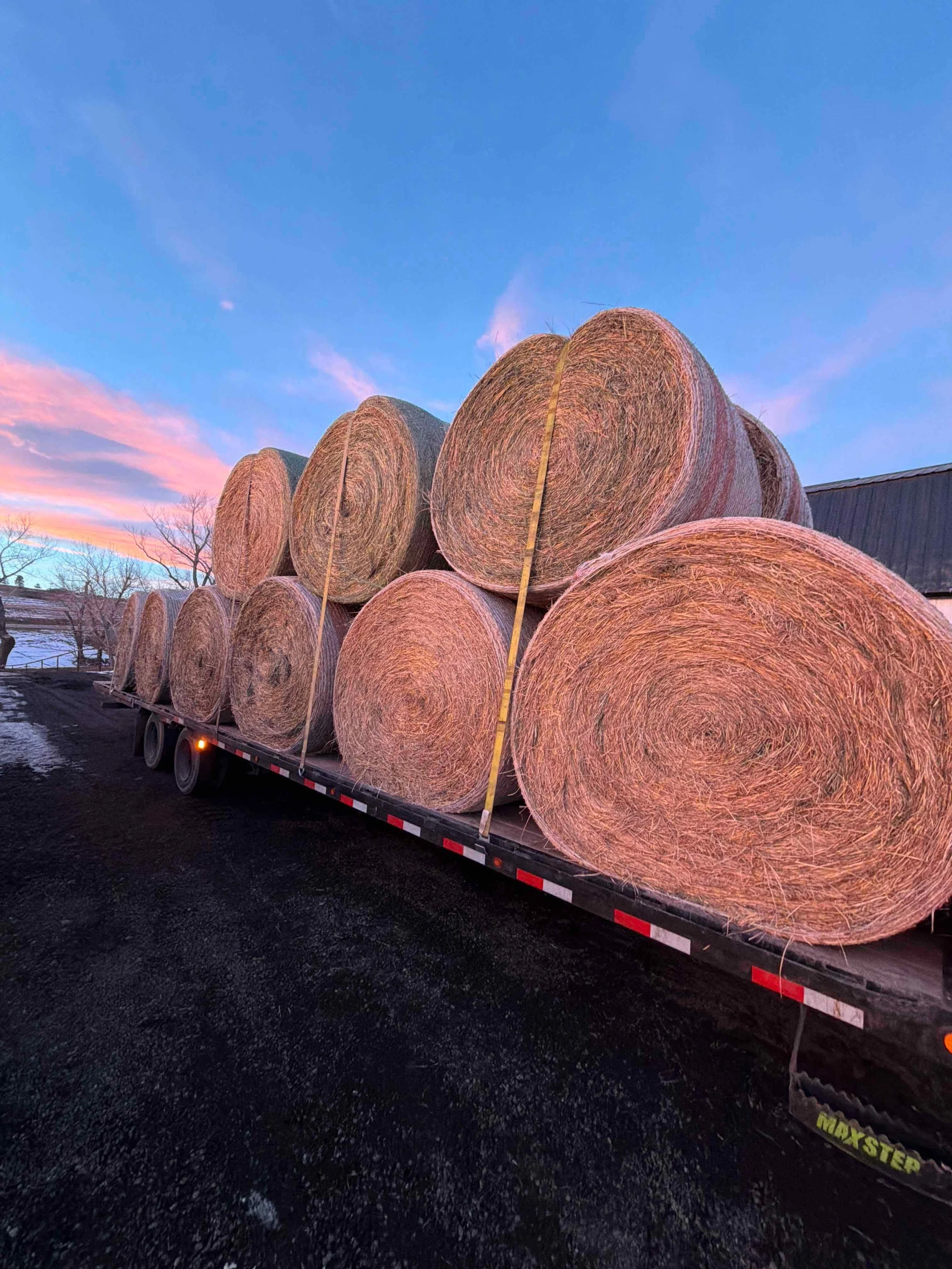 Large round hay bales stacked on a flatbed trailer outside during sunset with pink and blue sky.