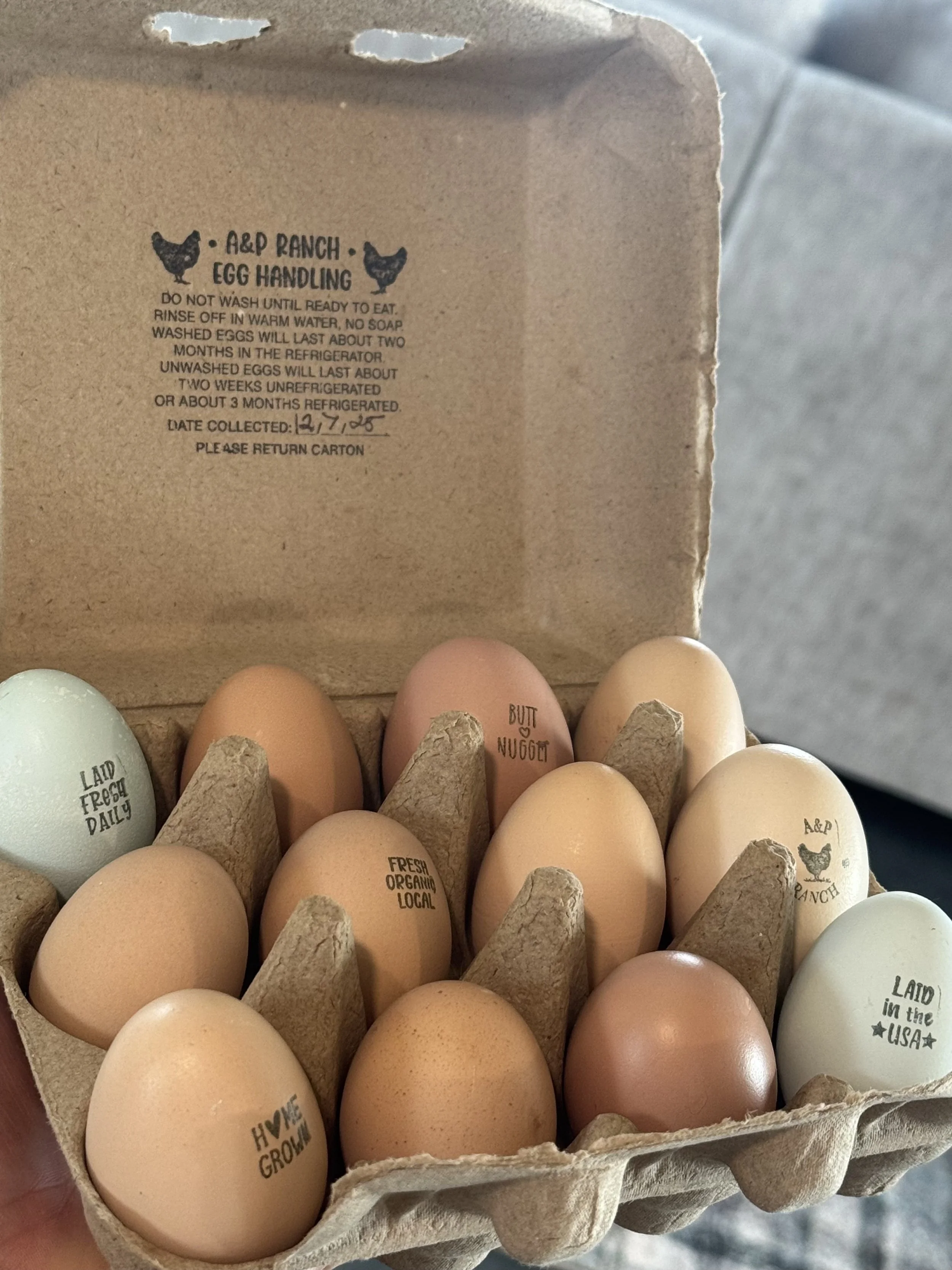 A carton of twenty eggs with various ink stamps, including phrases like 'Laid Fresh Daily', 'Fresh Organic Local', and 'Hatch Grow'. The eggs are light brown and cream in color, displayed inside a cardboard egg carton.