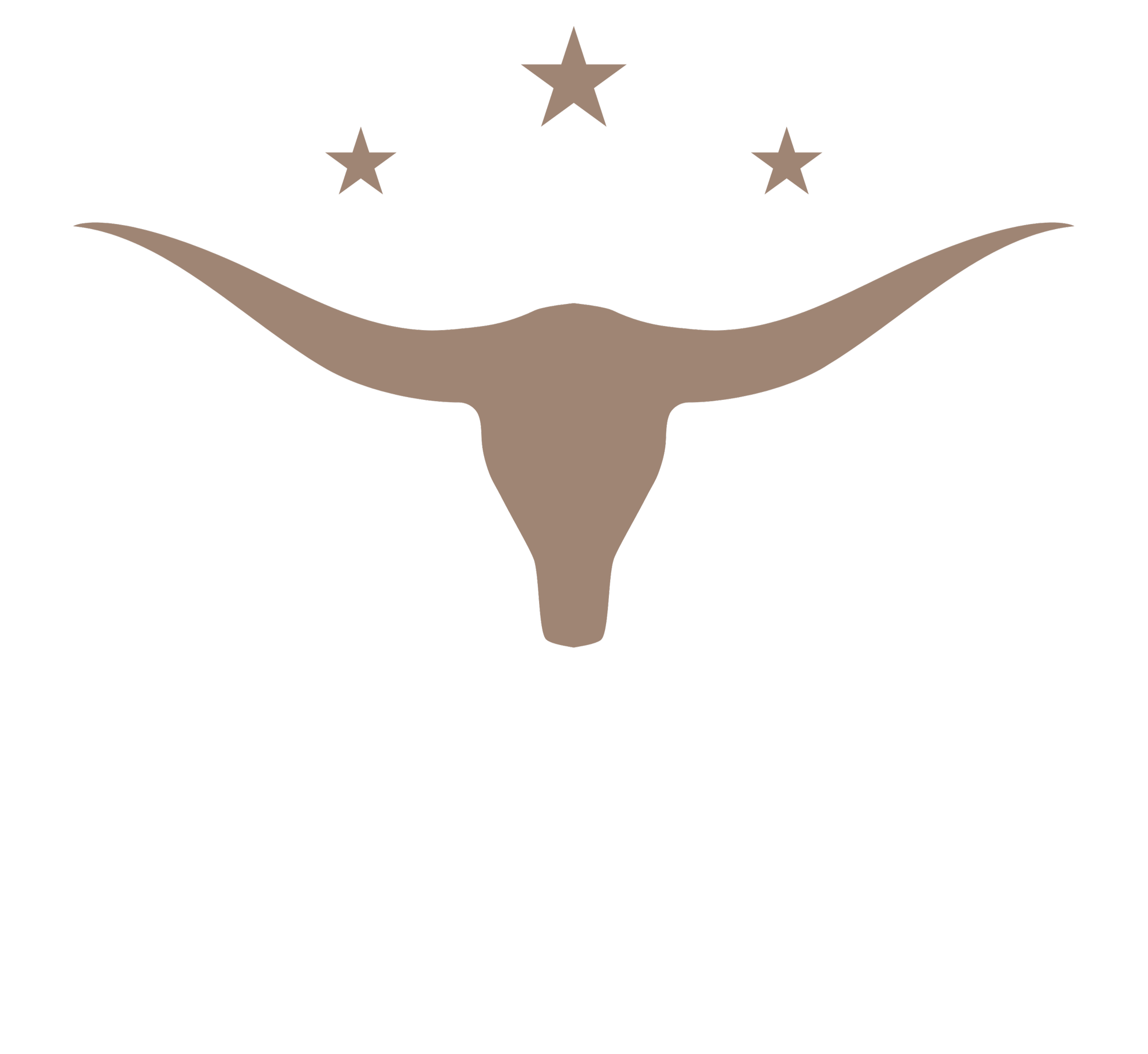 Logo of a Republican political organization featuring a longhorn skull with three stars above, and the text "Texas GOP" below.