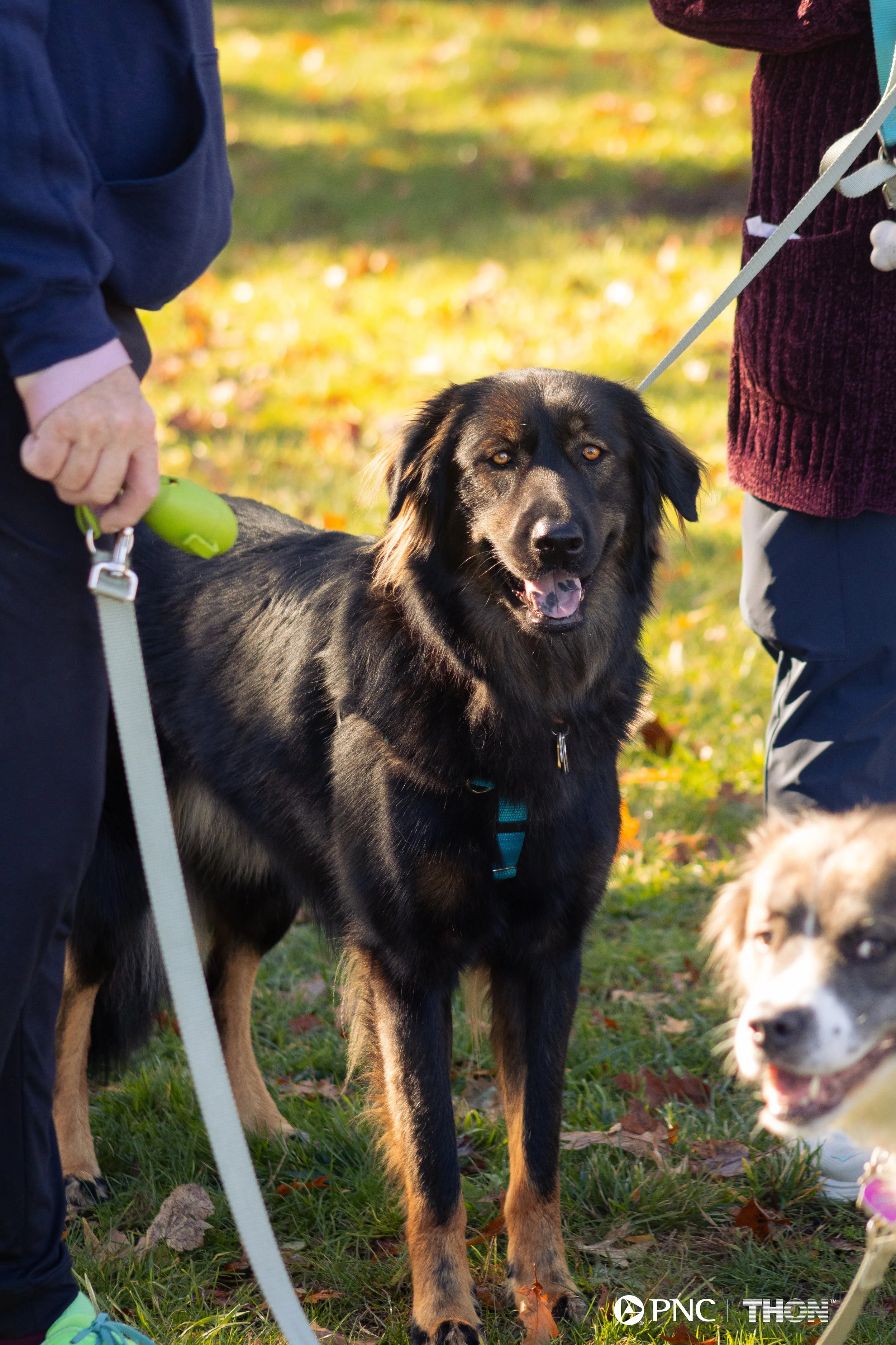 DeFabo_THON 5K (43 of 116).jpg