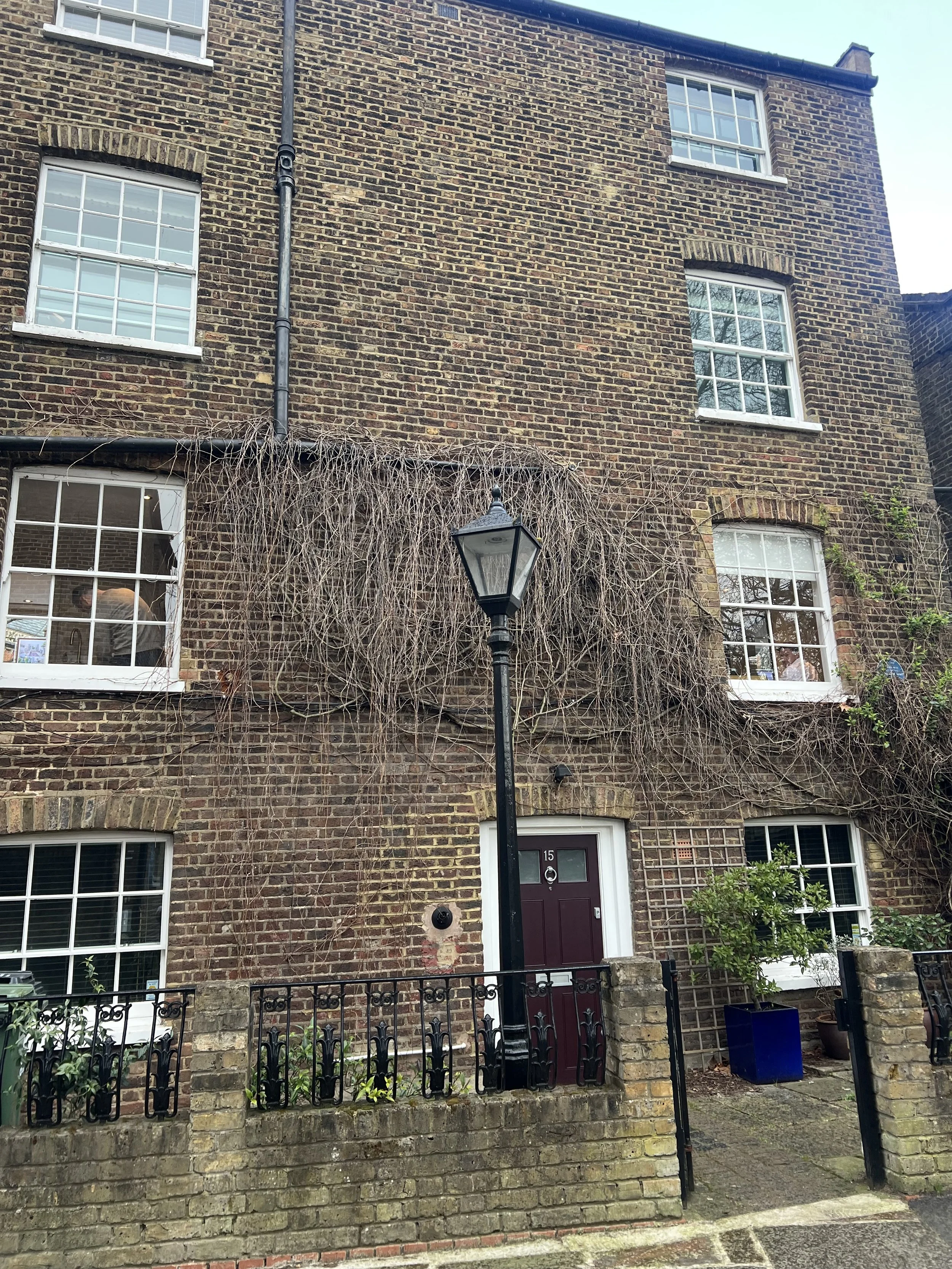 IMG_4758.jpeg