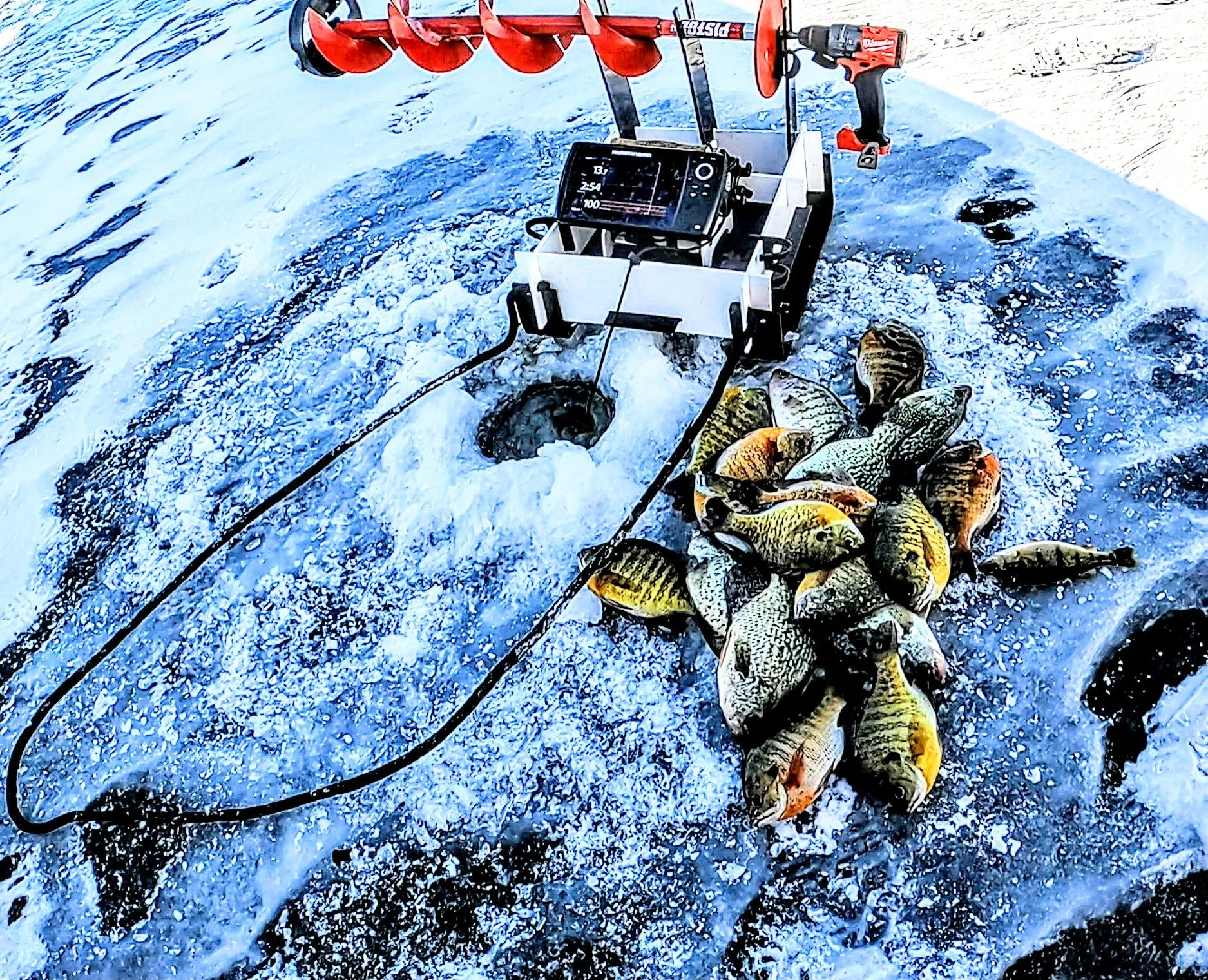 The Rabbit Hole Hopping Sled