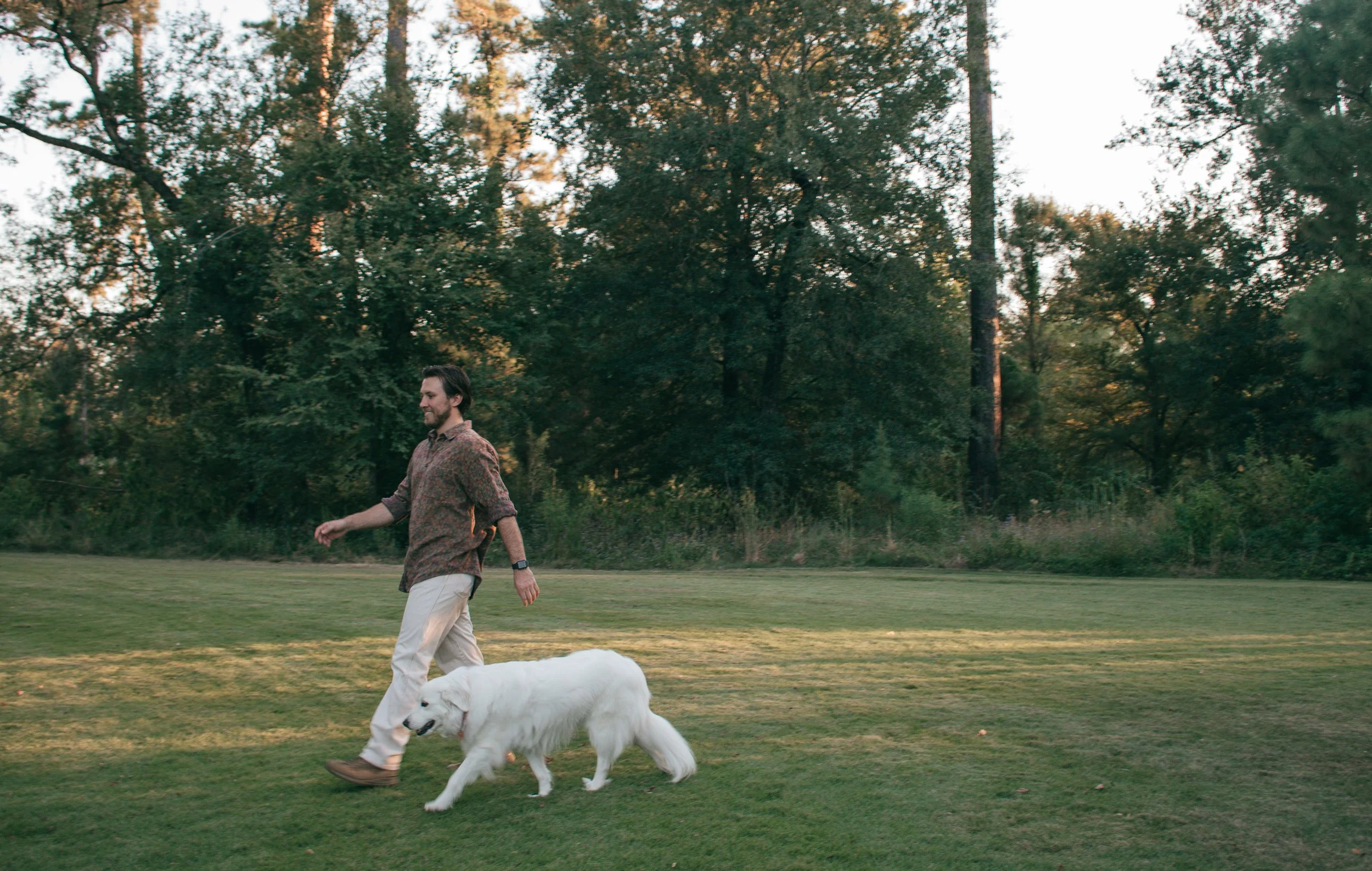 Lifestyle photo of a person and dog strolling through a sunlit field, framed by tall trees and soft golden tones.