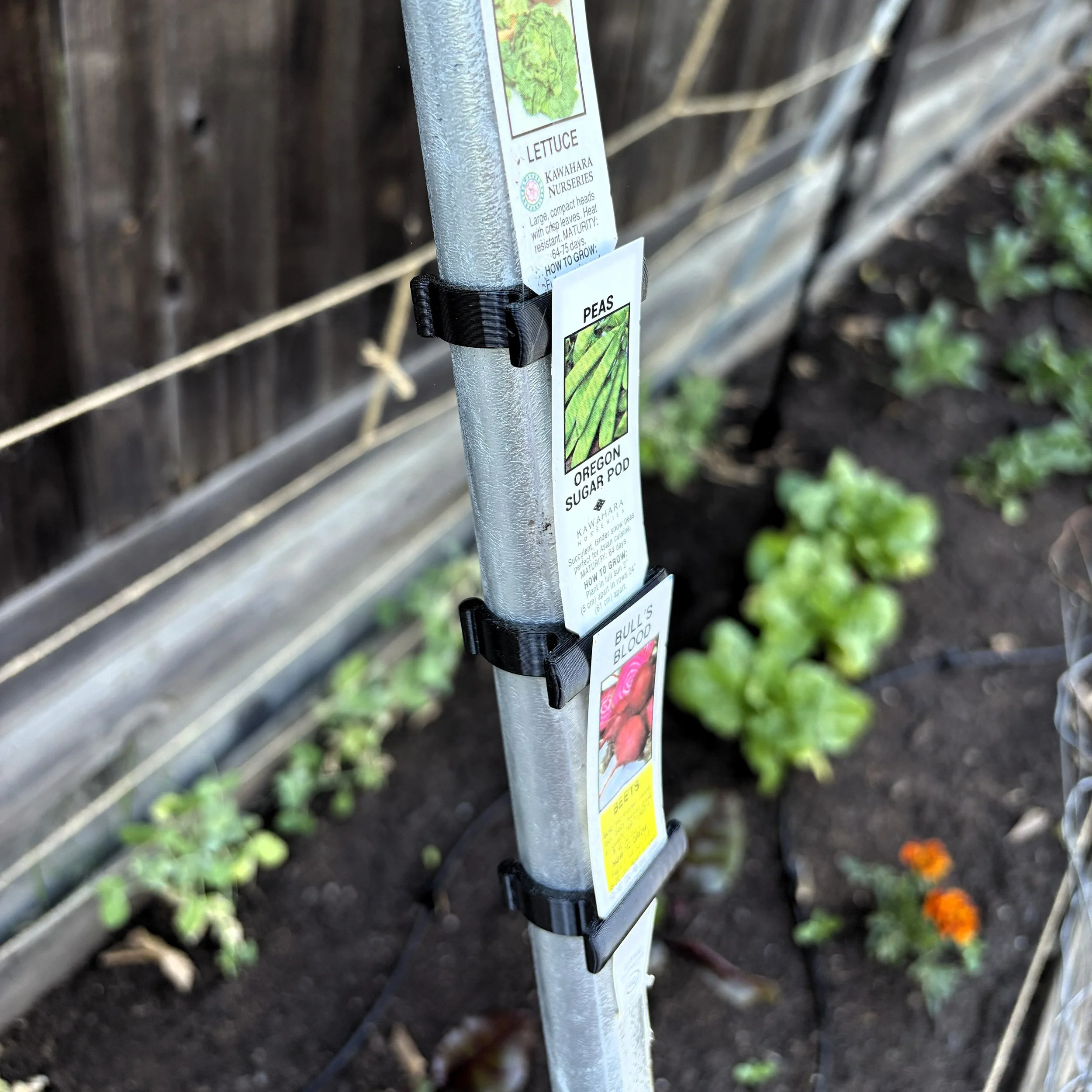 Label Holder (3).jpg