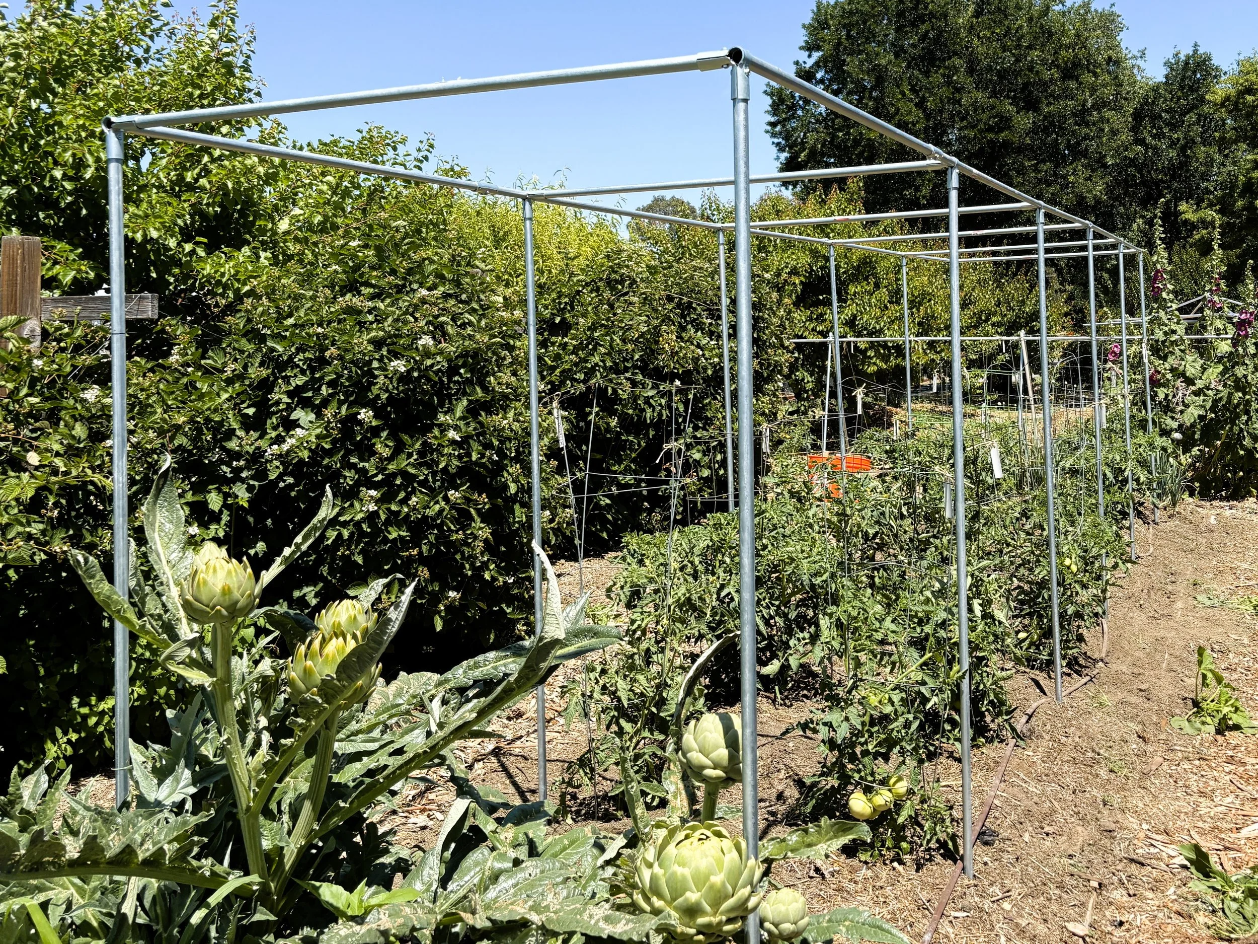 How This Box Frame Trellis Was Made
