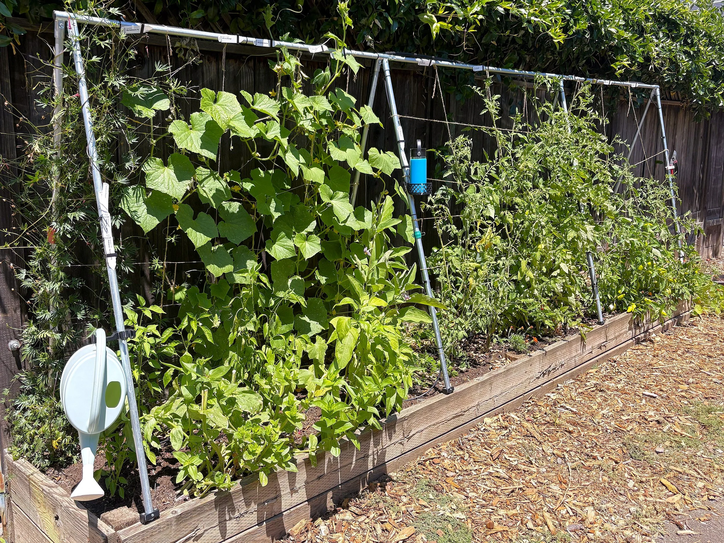 silver EMT A-Frame trellis