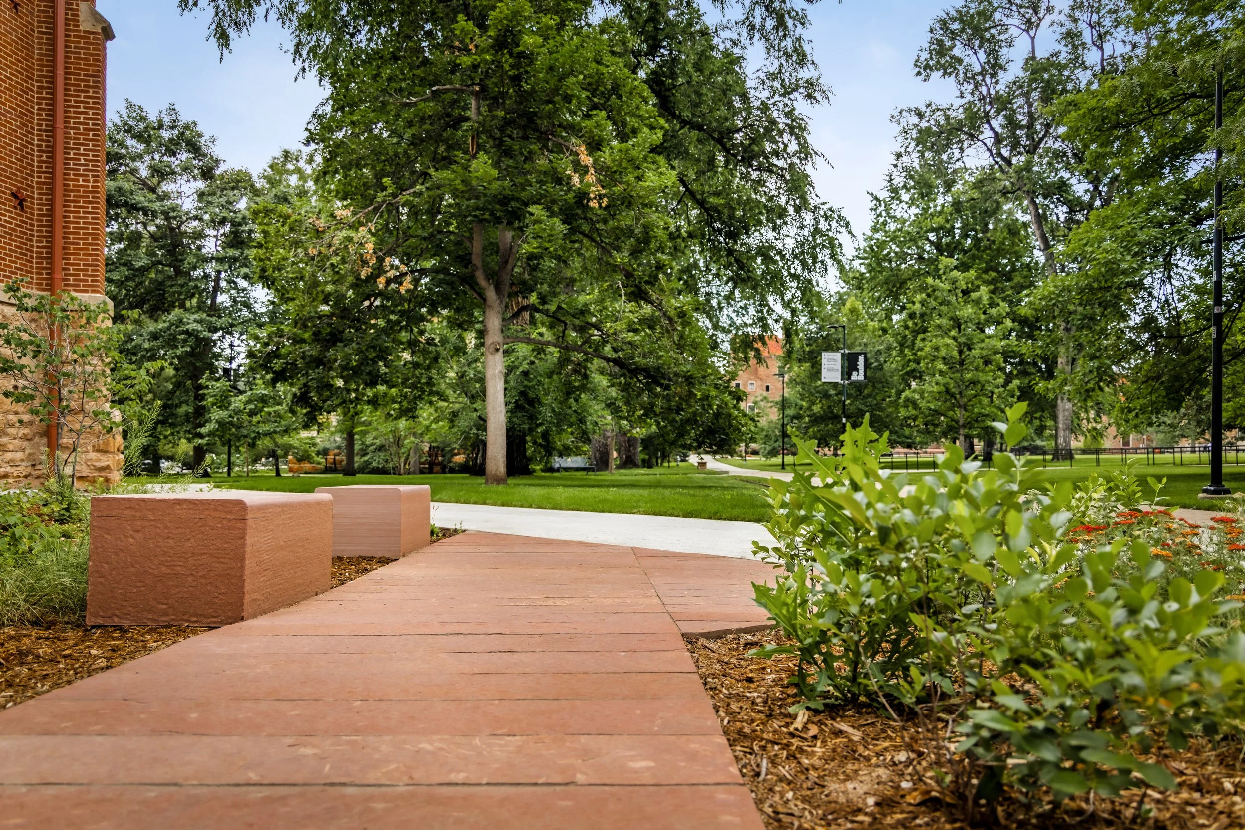 Oldmain-final-7.jpg