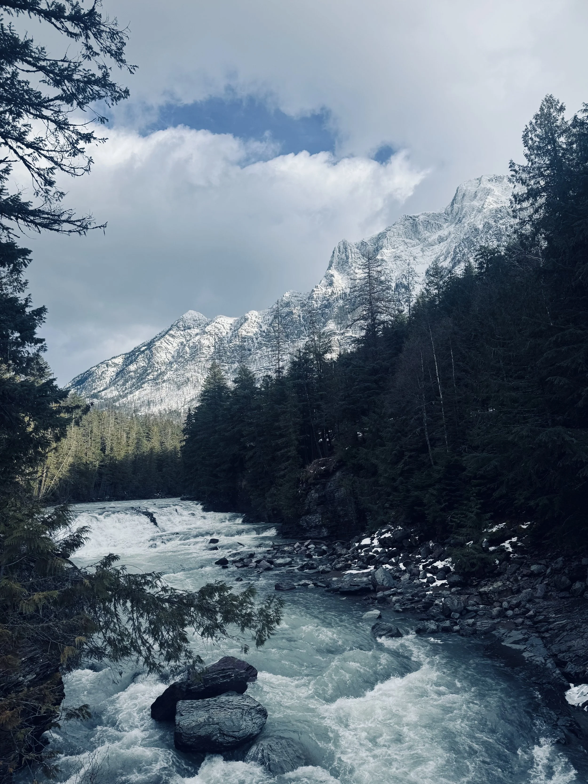 Snow-capped mountain peaks with a partly cloudy sky, dense evergreen forest on the slopes, and a flowing river in the foreground.