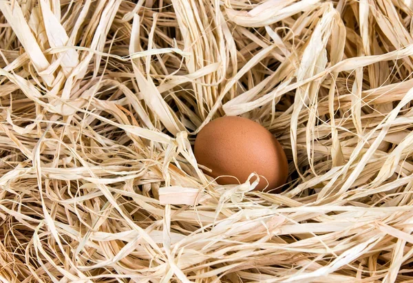 Farm Fresh Chicken Eggs — Dozen