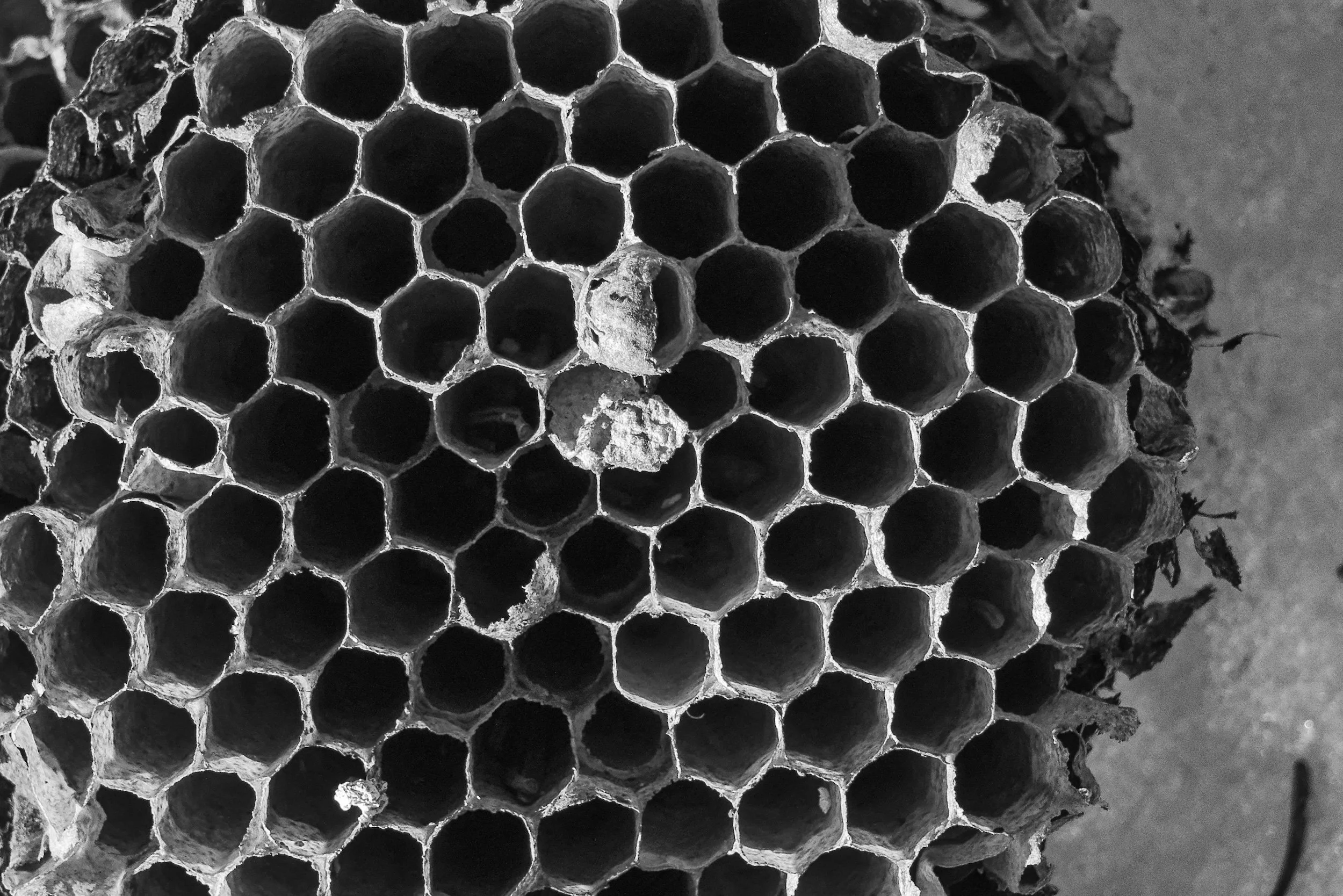 Winter River-47_DxO-Edit.jpg