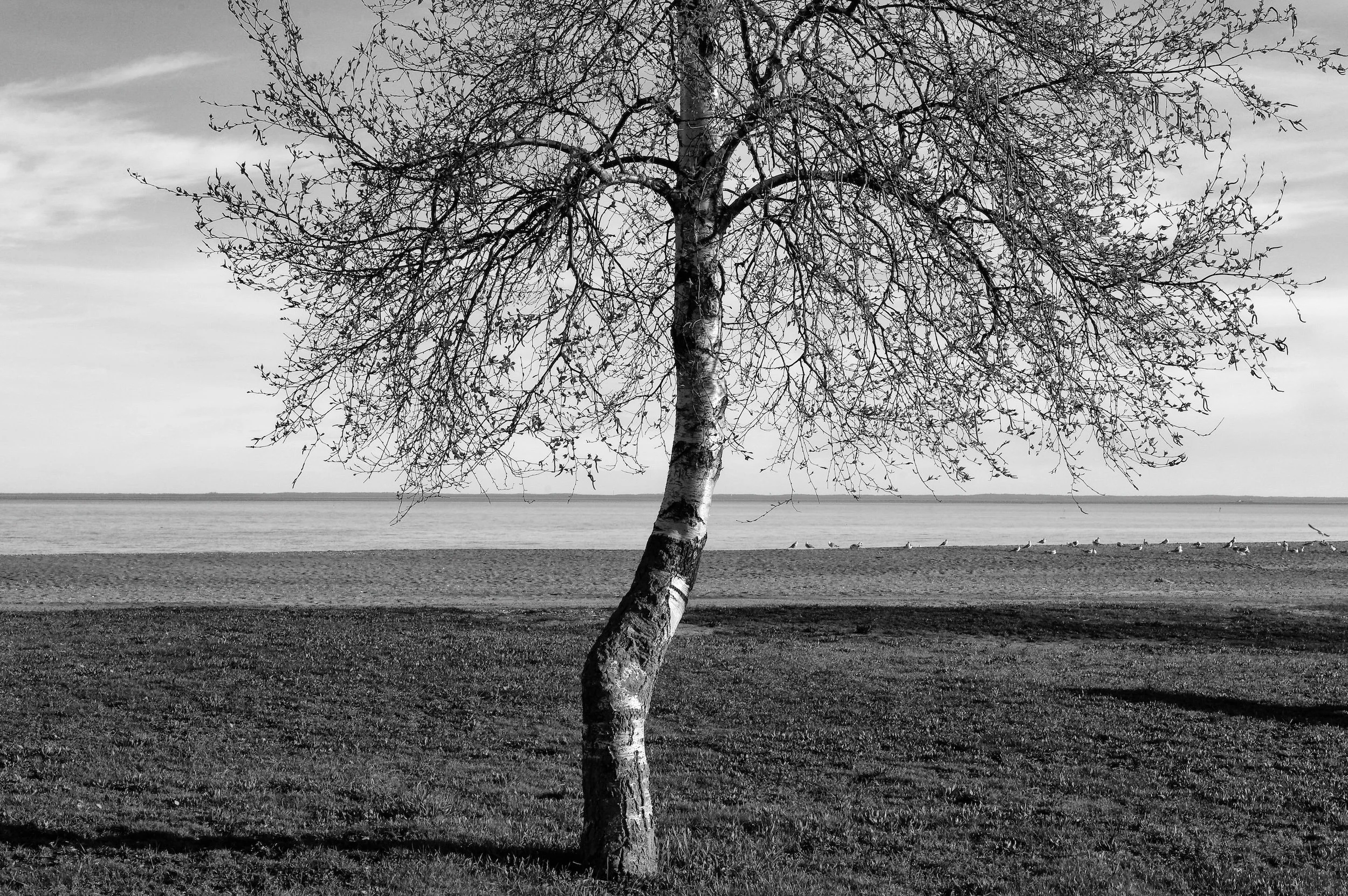 04-22-19 Calf Pasture19_DxO-Edit-Edit-2.jpg