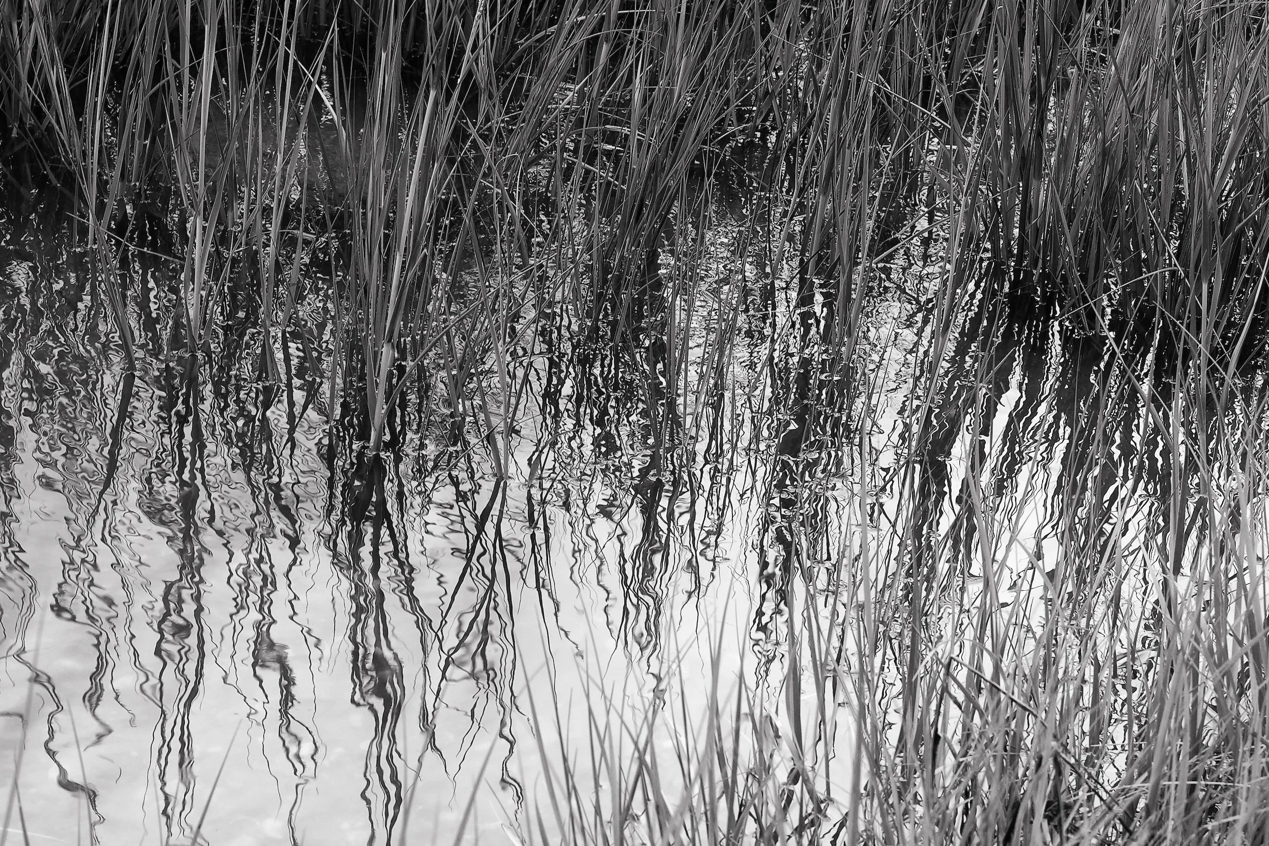 Milford Beach3_DxO-Edit.jpg