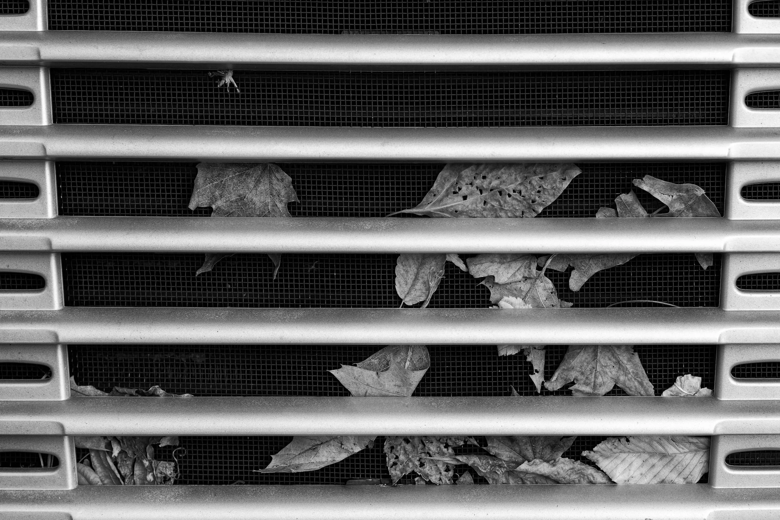 Fall Foliage-105_DxO-Edit-Edit-2.jpg