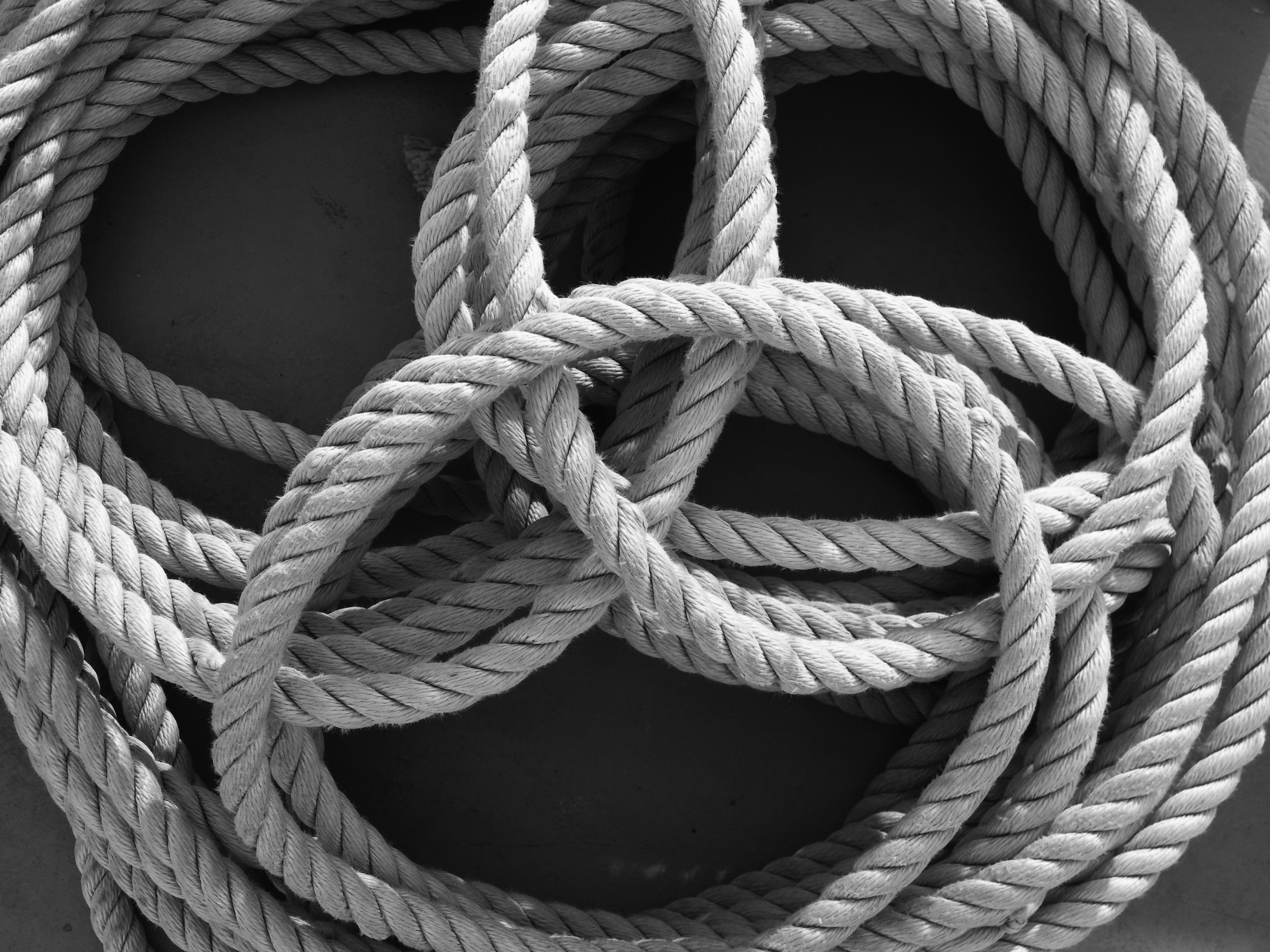 Coiled ropes intertwined in a tangled arrangement.