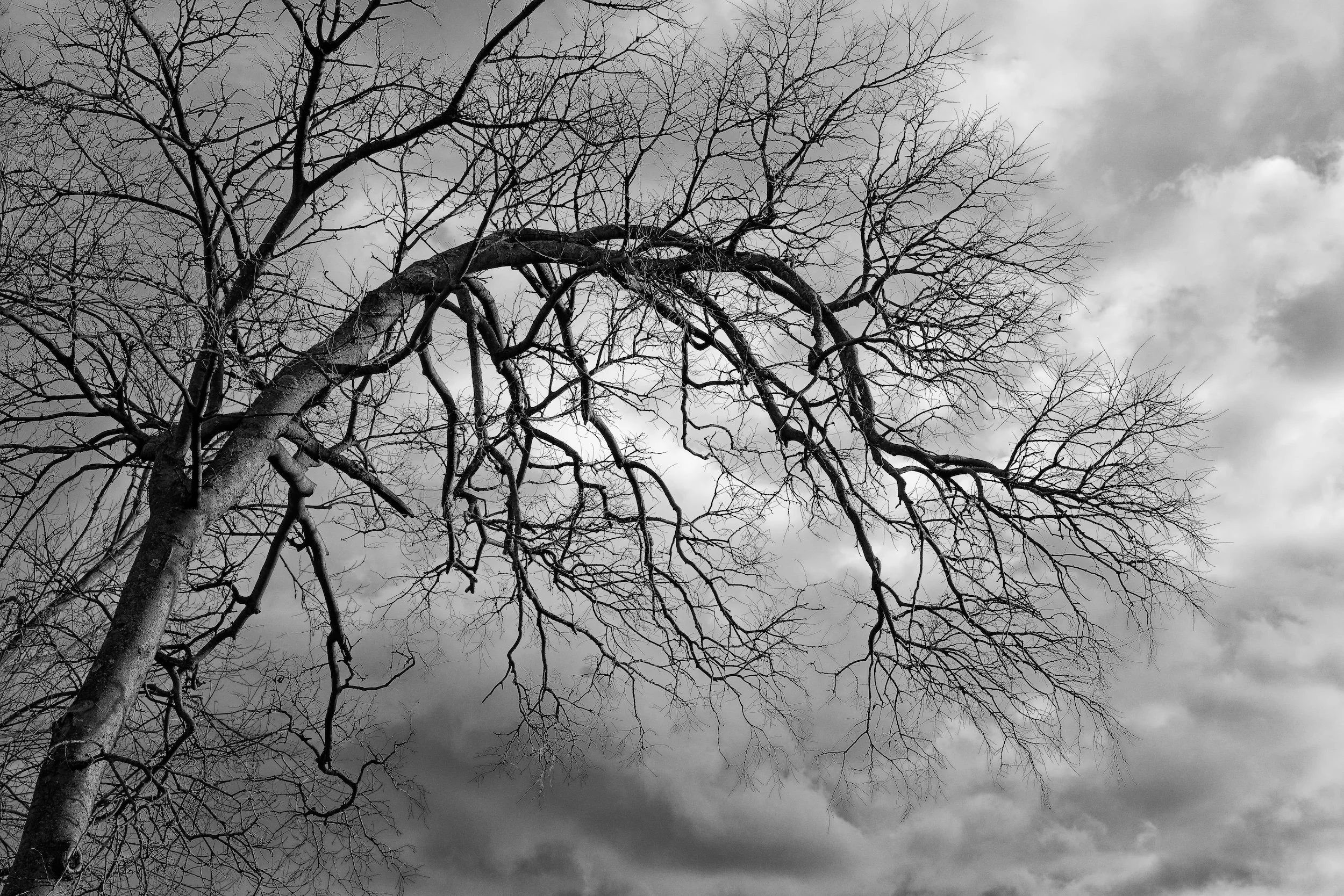 Fall Foliage-210_DxO-Edit.jpg