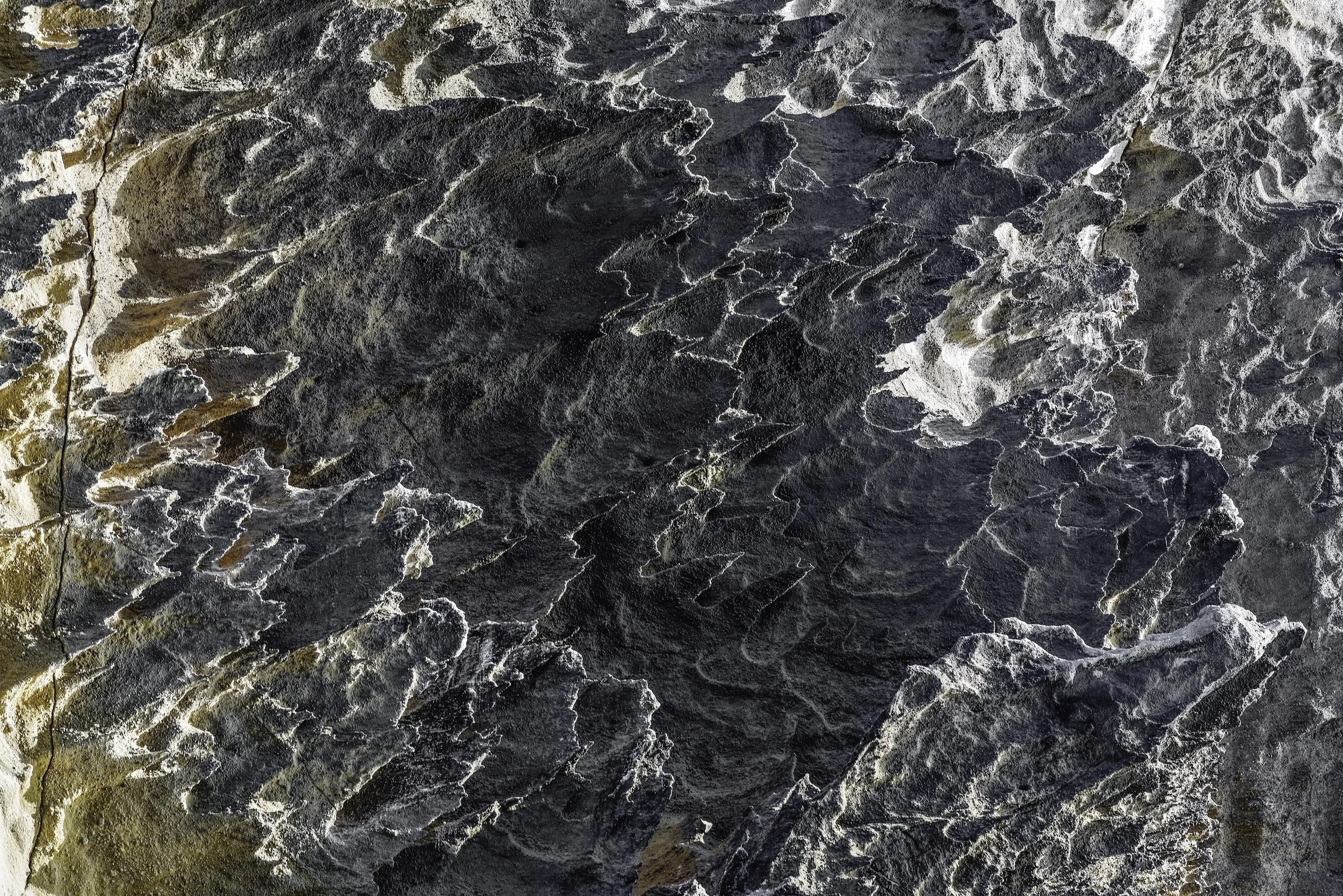 Close-up of black, gray, and tan fossilized rock with layered, textured surface.